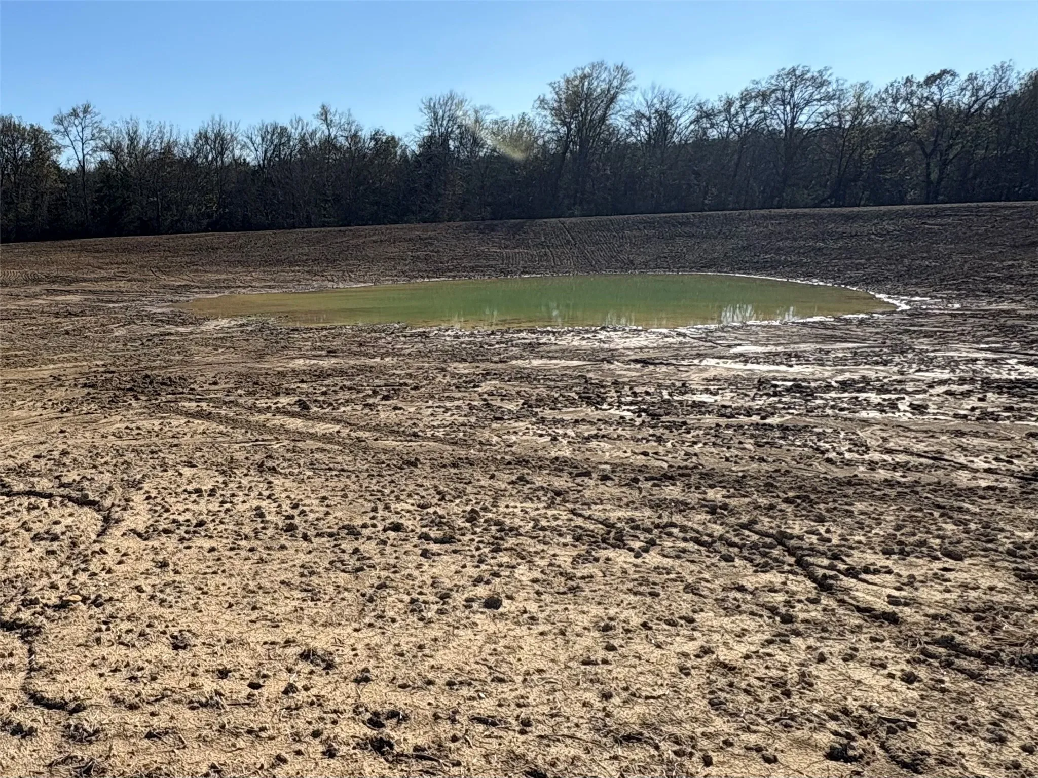 Improved Land For Sale in Hopkins County , TBD CR 1148 1, Cumby, Texas 75433, 0, 0, Garage spaces, 0 Sqft, built in 0, mls#21124588, Real Estate Agent in Cumby, Homes For Sale in Hopkins county, Homes For Sale in Cumby, Realtor in Cumby Texas, Real Estate Brokerage Independent Realty Texas, Luminita Cordes Realtor