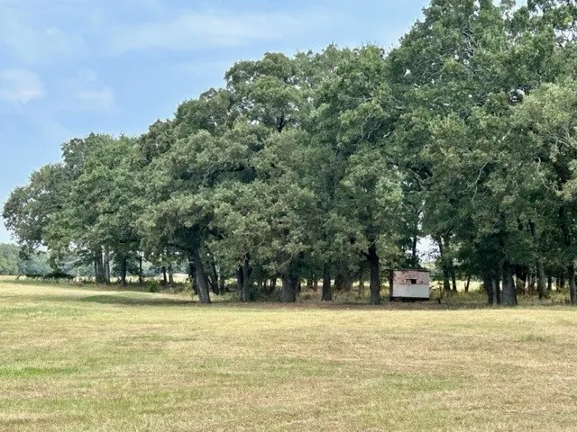 Improved Land For Sale in Hopkins County , TBD CR 1148 1, Cumby, Texas 75433, 0, 0, Garage spaces, 0 Sqft, built in 0, mls#21124588, Real Estate Agent in Cumby, Homes For Sale in Hopkins county, Homes For Sale in Cumby, Realtor in Cumby Texas, Real Estate Brokerage Independent Realty Texas, Luminita Cordes Realtor