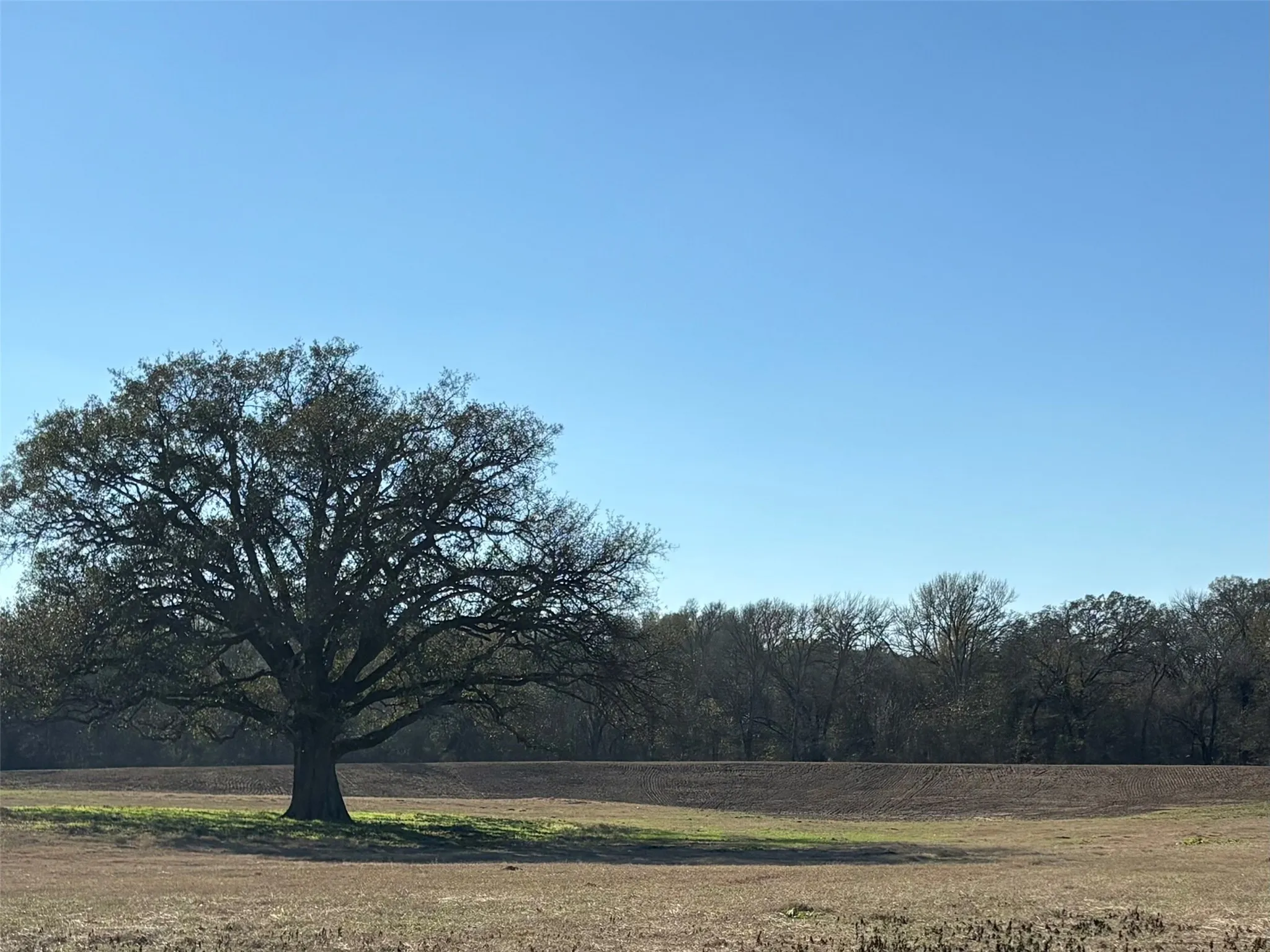 Improved Land For Sale in Hopkins County , TBD CR 1148 1, Cumby, Texas 75433, 0, 0, Garage spaces, 0 Sqft, built in 0, mls#21124588, Real Estate Agent in Cumby, Homes For Sale in Hopkins county, Homes For Sale in Cumby, Realtor in Cumby Texas, Real Estate Brokerage Independent Realty Texas, Luminita Cordes Realtor