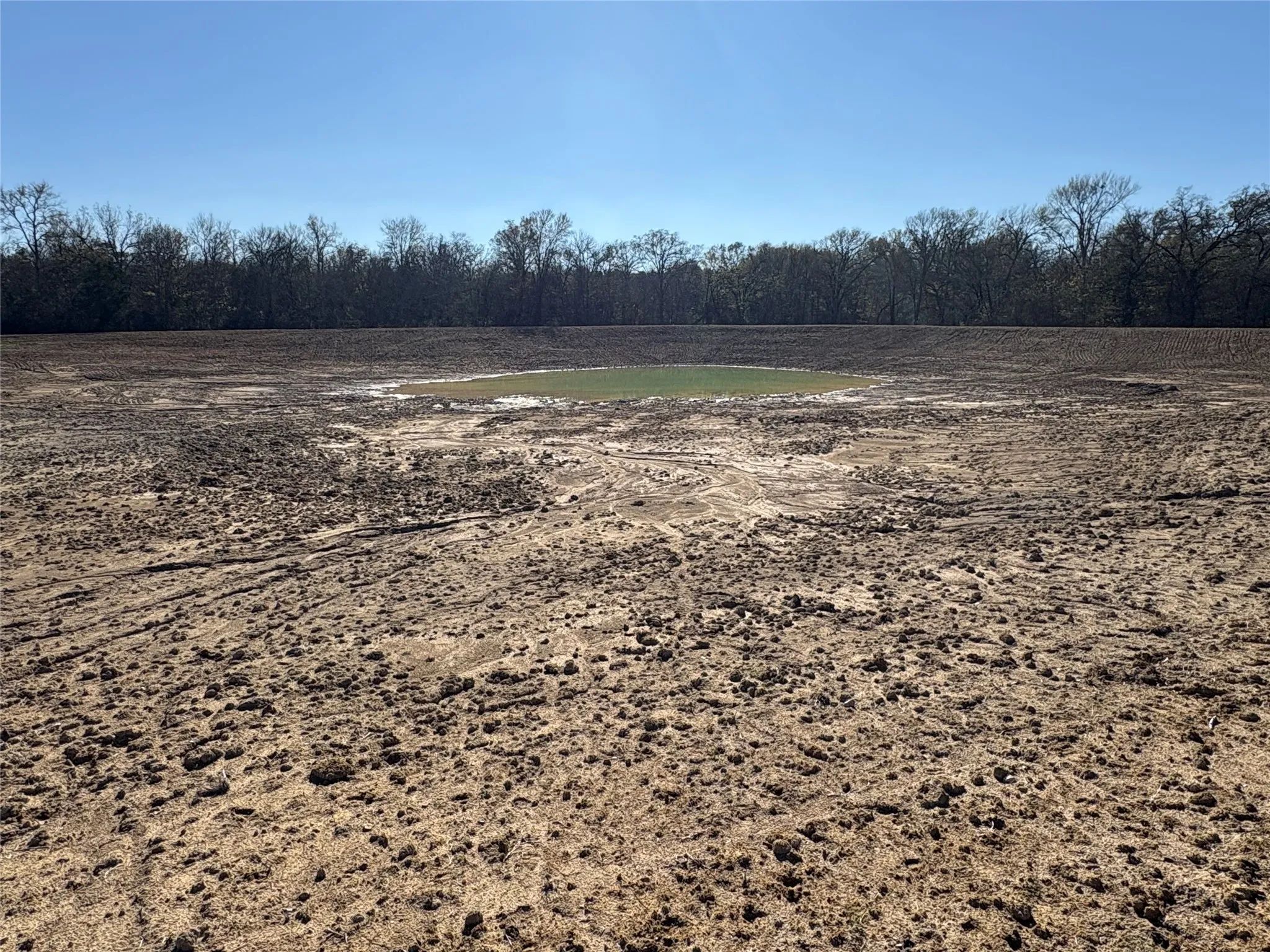 Improved Land For Sale in Hopkins County , TBD CR 1148 1, Cumby, Texas 75433, 0, 0, Garage spaces, 0 Sqft, built in 0, mls#21124588, Real Estate Agent in Cumby, Homes For Sale in Hopkins county, Homes For Sale in Cumby, Realtor in Cumby Texas, Real Estate Brokerage Independent Realty Texas, Luminita Cordes Realtor