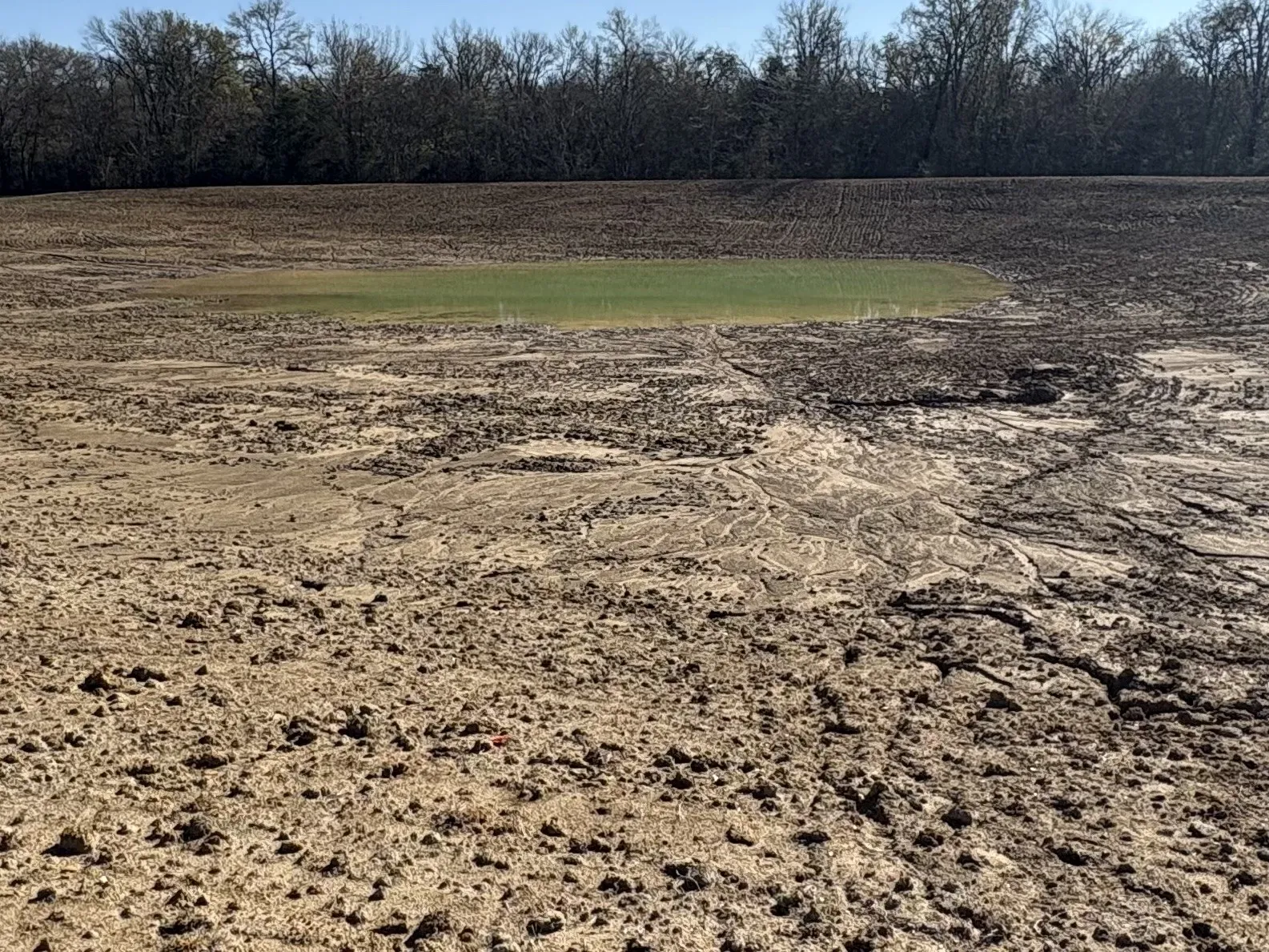 Improved Land For Sale in Hopkins County , TBD CR 1148 1, Cumby, Texas 75433, 0, 0, Garage spaces, 0 Sqft, built in 0, mls#21124588, Real Estate Agent in Cumby, Homes For Sale in Hopkins county, Homes For Sale in Cumby, Realtor in Cumby Texas, Real Estate Brokerage Independent Realty Texas, Luminita Cordes Realtor