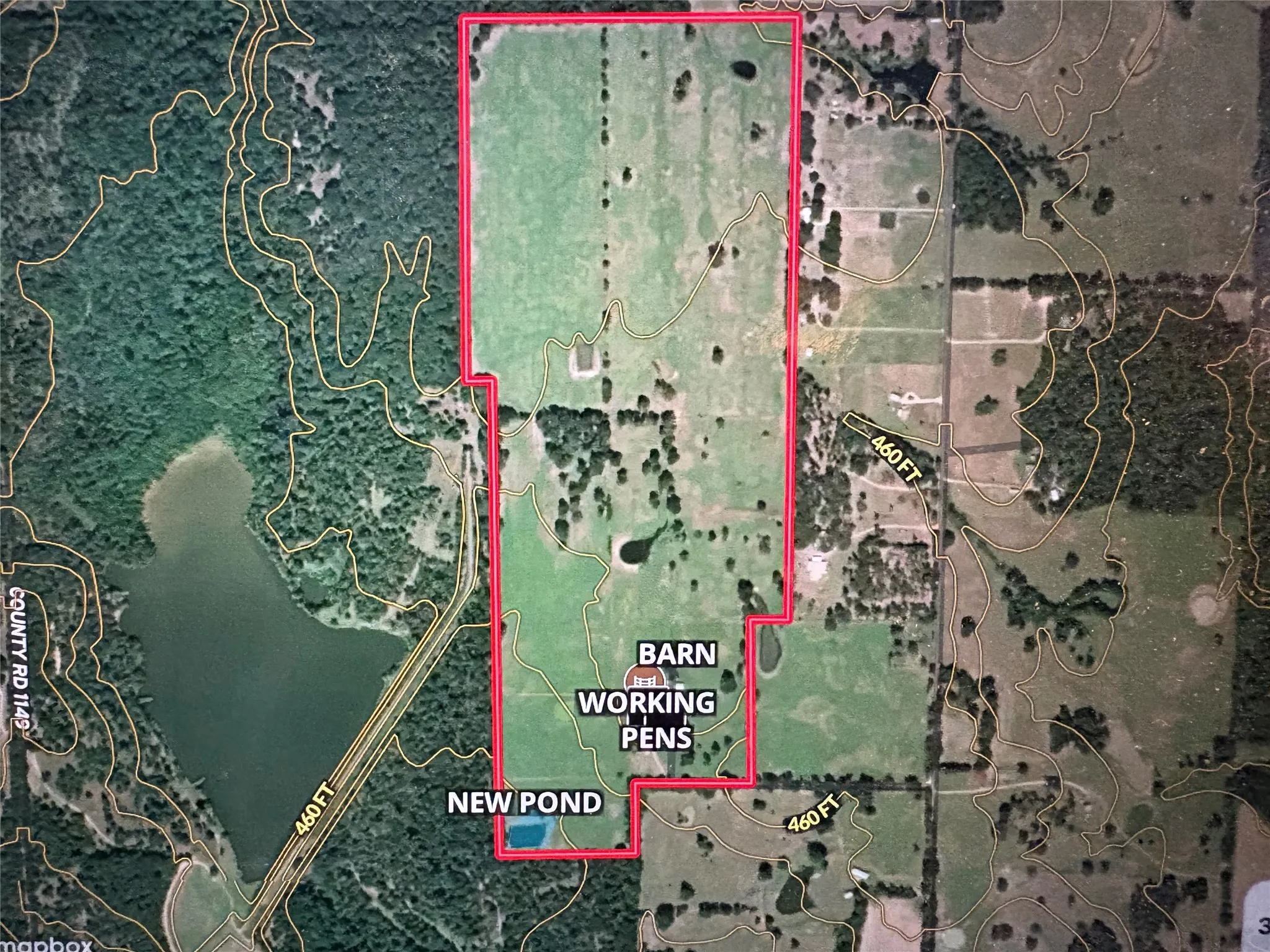 Improved Land For Sale in Hopkins County , TBD CR 1148 1, Cumby, Texas 75433, 0, 0, Garage spaces, 0 Sqft, built in 0, mls#21124588, Real Estate Agent in Cumby, Homes For Sale in Hopkins county, Homes For Sale in Cumby, Realtor in Cumby Texas, Real Estate Brokerage Independent Realty Texas, Luminita Cordes Realtor