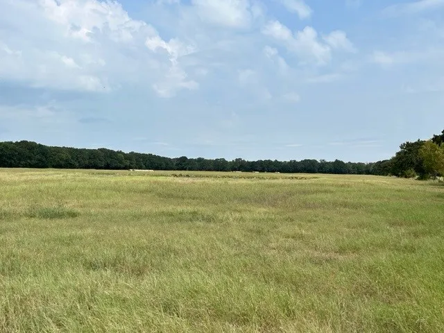 Improved Land For Sale in Hopkins County , TBD CR 1148 1, Cumby, Texas 75433, 0, 0, Garage spaces, 0 Sqft, built in 0, mls#21124588, Real Estate Agent in Cumby, Homes For Sale in Hopkins county, Homes For Sale in Cumby, Realtor in Cumby Texas, Real Estate Brokerage Independent Realty Texas, Luminita Cordes Realtor