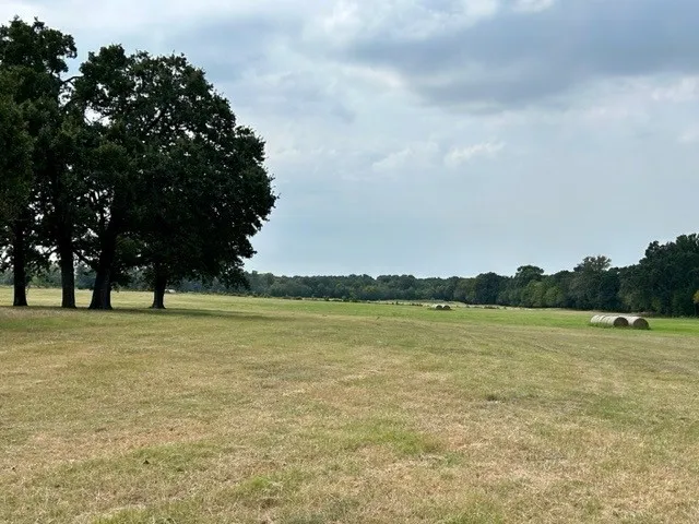 Improved Land For Sale in Hopkins County , TBD CR 1148 1, Cumby, Texas 75433, 0, 0, Garage spaces, 0 Sqft, built in 0, mls#21124588, Real Estate Agent in Cumby, Homes For Sale in Hopkins county, Homes For Sale in Cumby, Realtor in Cumby Texas, Real Estate Brokerage Independent Realty Texas, Luminita Cordes Realtor