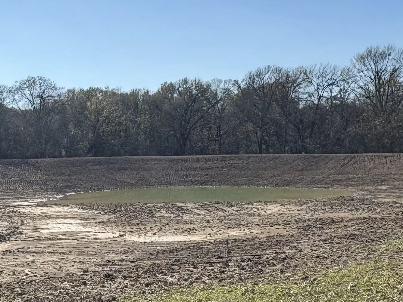 Improved Land For Sale in Hopkins County , TBD CR 1148 1, Cumby, Texas 75433, 0, 0, Garage spaces, 0 Sqft, built in 0, mls#21124588, Real Estate Agent in Cumby, Homes For Sale in Hopkins county, Homes For Sale in Cumby, Realtor in Cumby Texas, Real Estate Brokerage Independent Realty Texas, Luminita Cordes Realtor