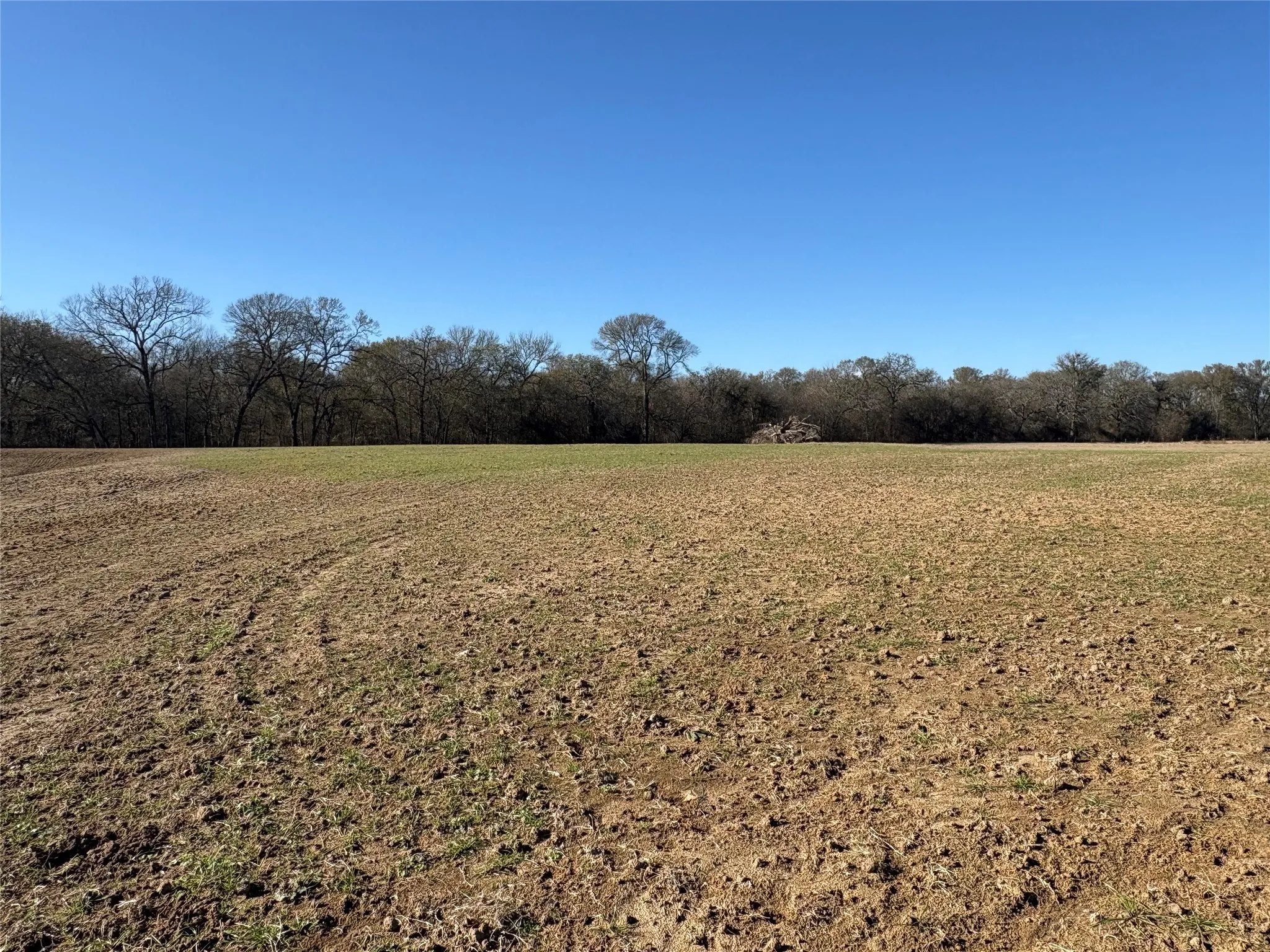 Improved Land For Sale in Hopkins County , TBD CR 1148 1, Cumby, Texas 75433, 0, 0, Garage spaces, 0 Sqft, built in 0, mls#21124588, Real Estate Agent in Cumby, Homes For Sale in Hopkins county, Homes For Sale in Cumby, Realtor in Cumby Texas, Real Estate Brokerage Independent Realty Texas, Luminita Cordes Realtor