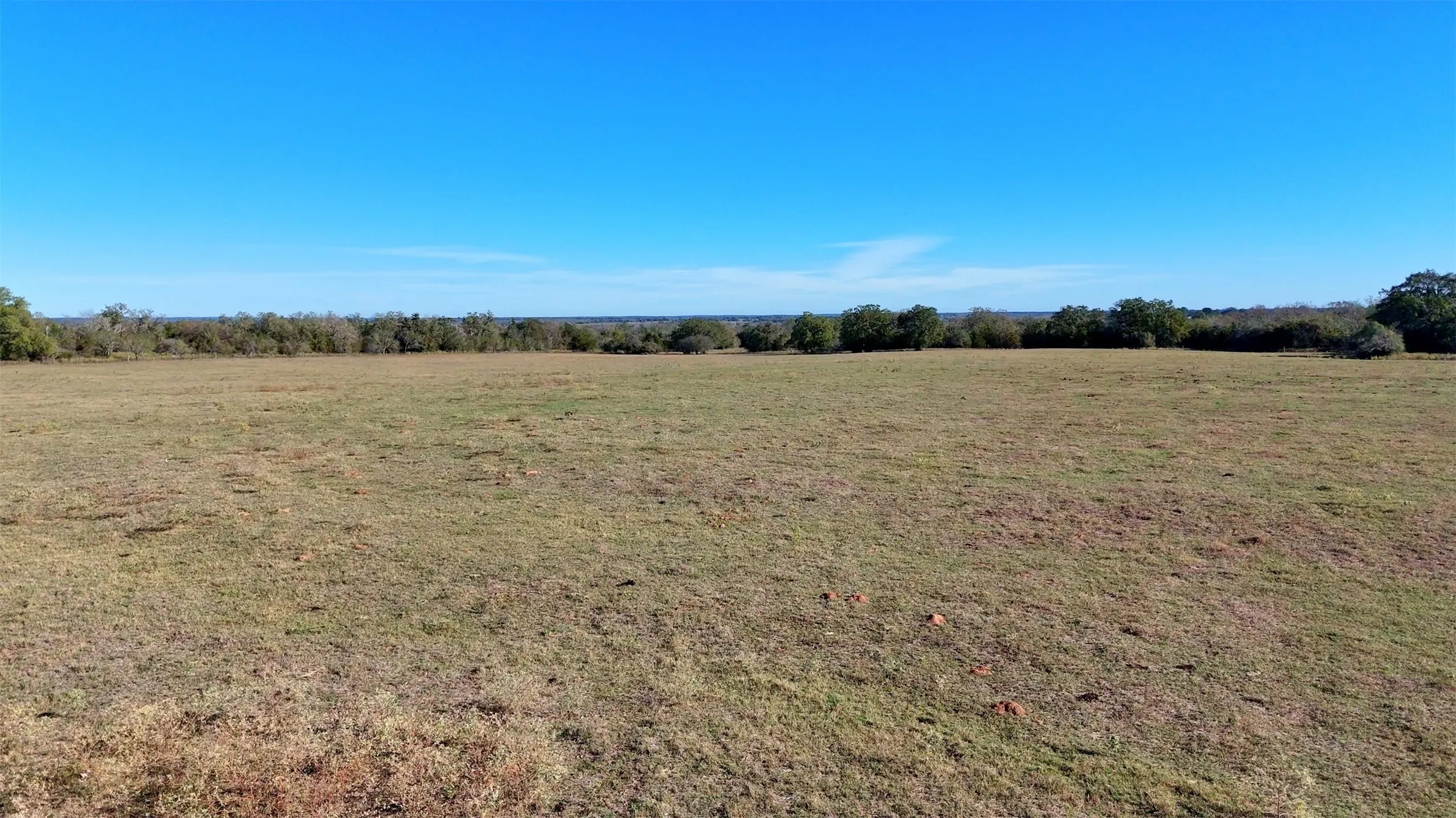 Unimproved Land For Sale in Gonzales County , 7180 County Road 283, Gonzales, Texas 78632, 0, 0, Garage spaces, 0 Sqft, built in 0, Price $6,348,850, mls#21128989, Real Estate Agent in Gonzales, Homes For Sale in Gonzales county, Homes For Sale in Gonzales, Realtor in Gonzales Texas, Real Estate Brokerage Independent Realty Texas, Luminita Cordes Realtor