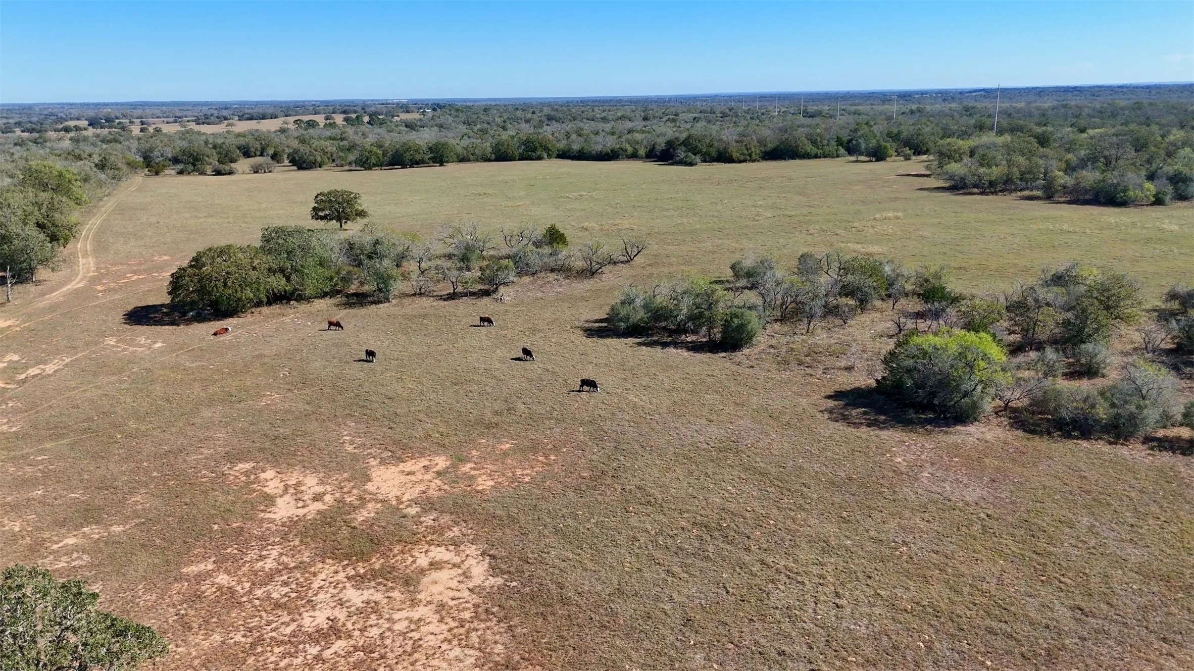 Unimproved Land For Sale in Gonzales County , 7180 County Road 283, Gonzales, Texas 78632, 0, 0, Garage spaces, 0 Sqft, built in 0, Price $6,348,850, mls#21128989, Real Estate Agent in Gonzales, Homes For Sale in Gonzales county, Homes For Sale in Gonzales, Realtor in Gonzales Texas, Real Estate Brokerage Independent Realty Texas, Luminita Cordes Realtor