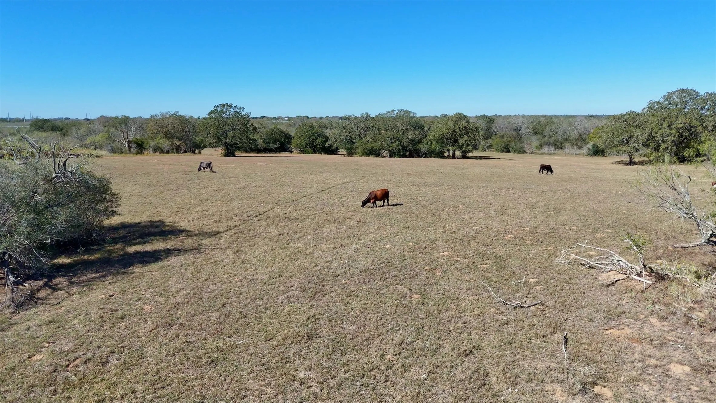 Unimproved Land For Sale in Gonzales County , 7180 County Road 283, Gonzales, Texas 78632, 0, 0, Garage spaces, 0 Sqft, built in 0, Price $6,348,850, mls#21128989, Real Estate Agent in Gonzales, Homes For Sale in Gonzales county, Homes For Sale in Gonzales, Realtor in Gonzales Texas, Real Estate Brokerage Independent Realty Texas, Luminita Cordes Realtor