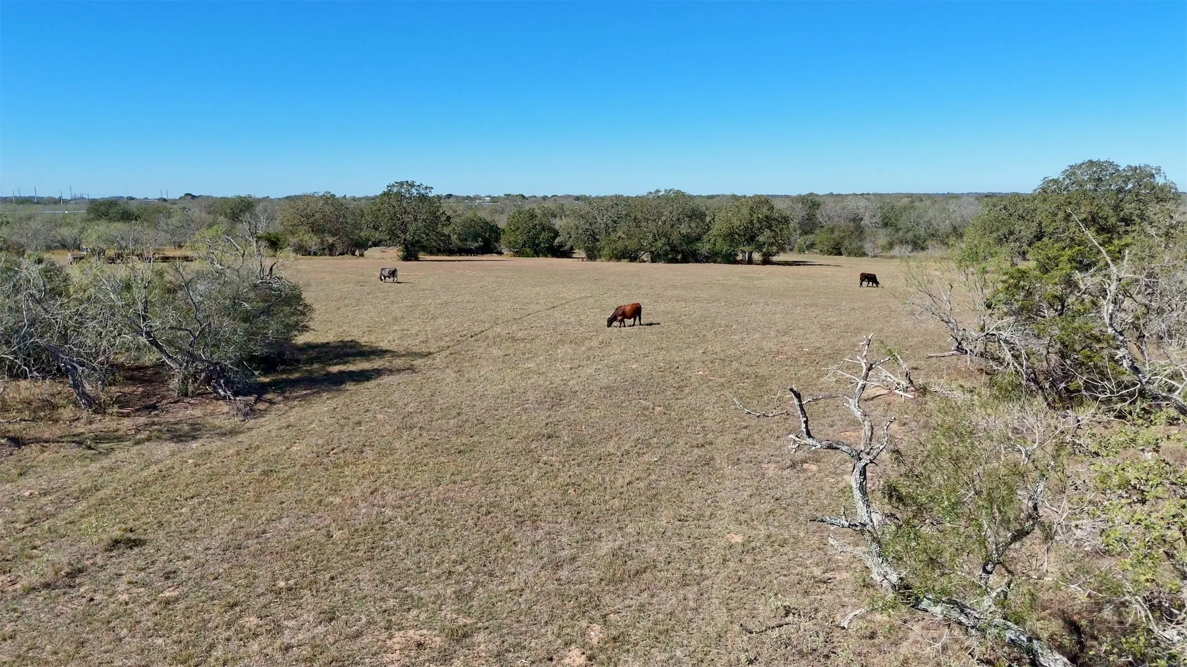 Unimproved Land For Sale in Gonzales County , 7180 County Road 283, Gonzales, Texas 78632, 0, 0, Garage spaces, 0 Sqft, built in 0, Price $6,348,850, mls#21128989, Real Estate Agent in Gonzales, Homes For Sale in Gonzales county, Homes For Sale in Gonzales, Realtor in Gonzales Texas, Real Estate Brokerage Independent Realty Texas, Luminita Cordes Realtor