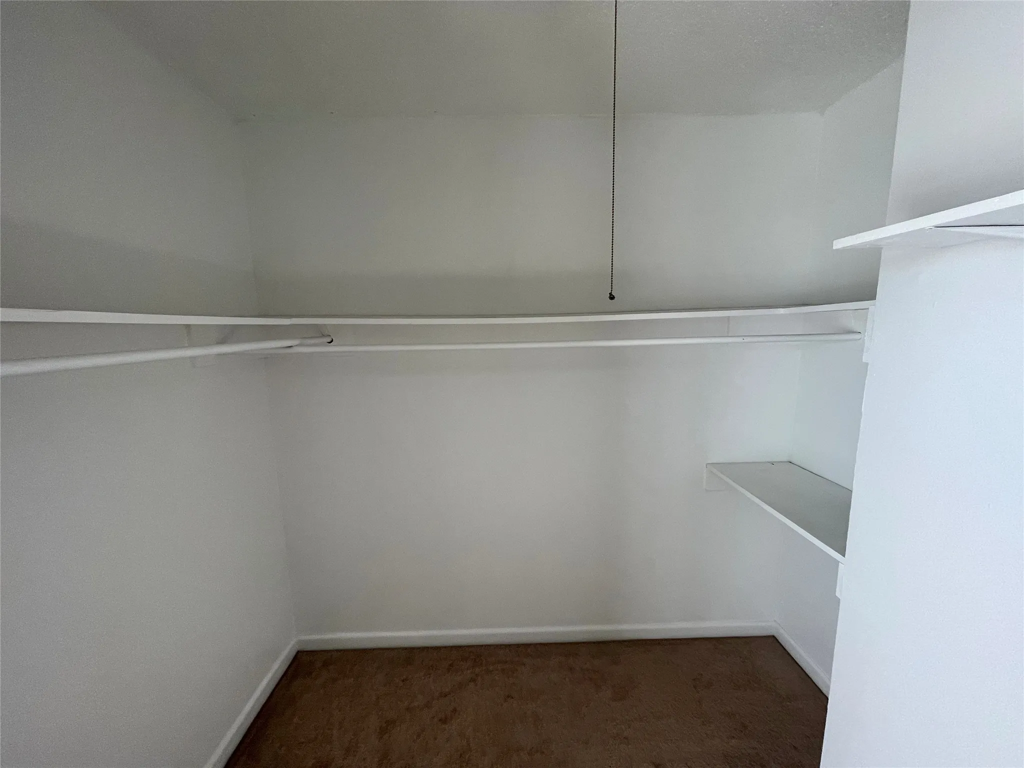 Spacious closet with dark colored carpet