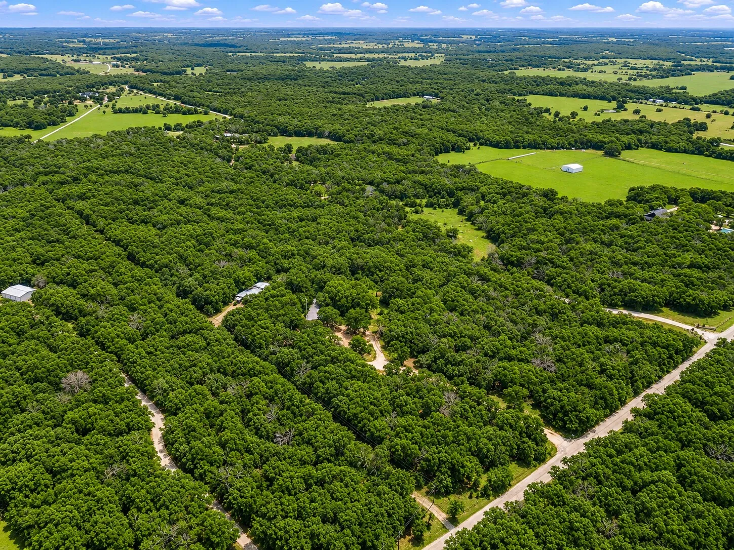 Expansive wooded acreage featuring mature trees and established unpaved roads