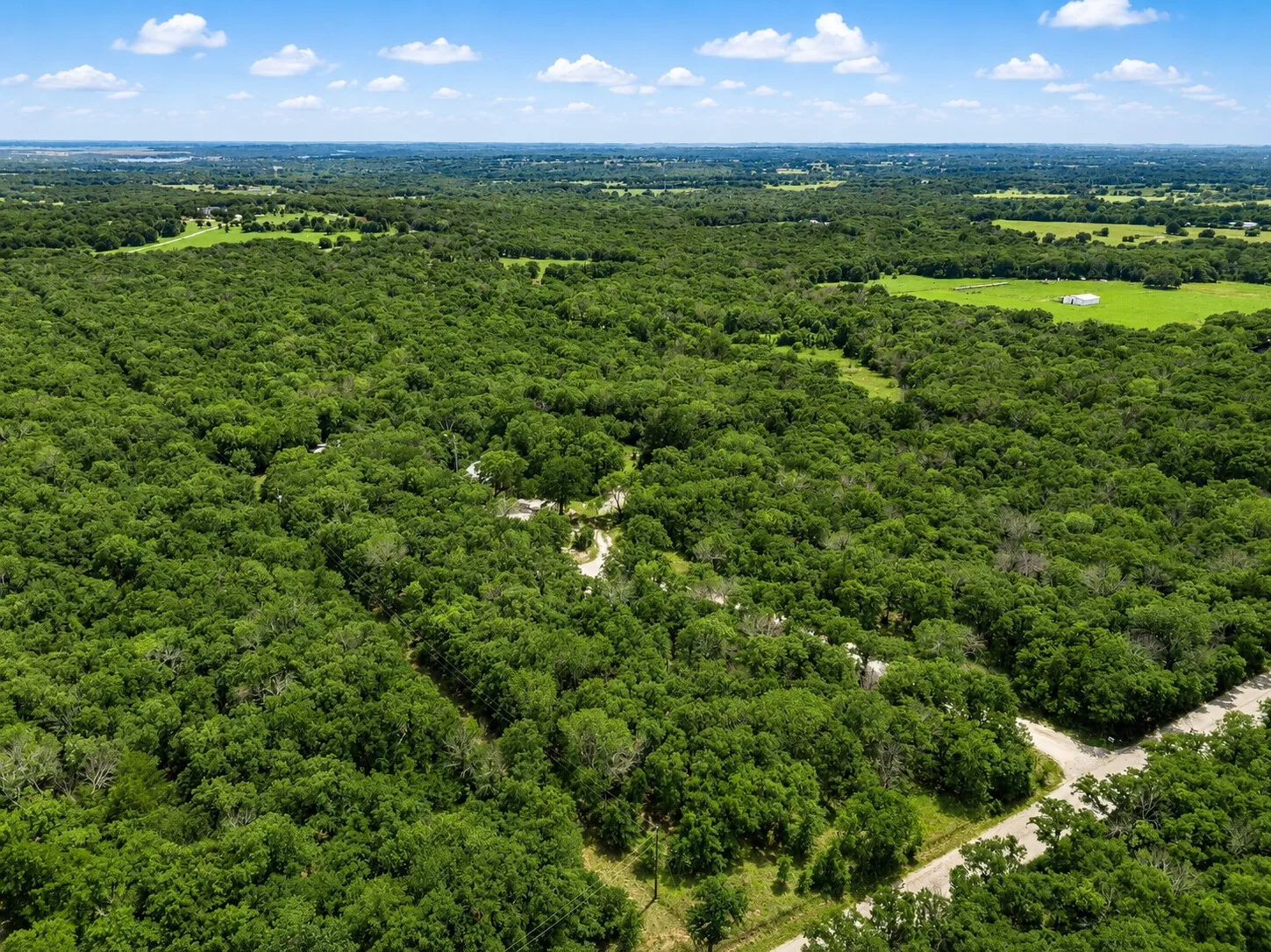 Expansive tree canopy across the landscape