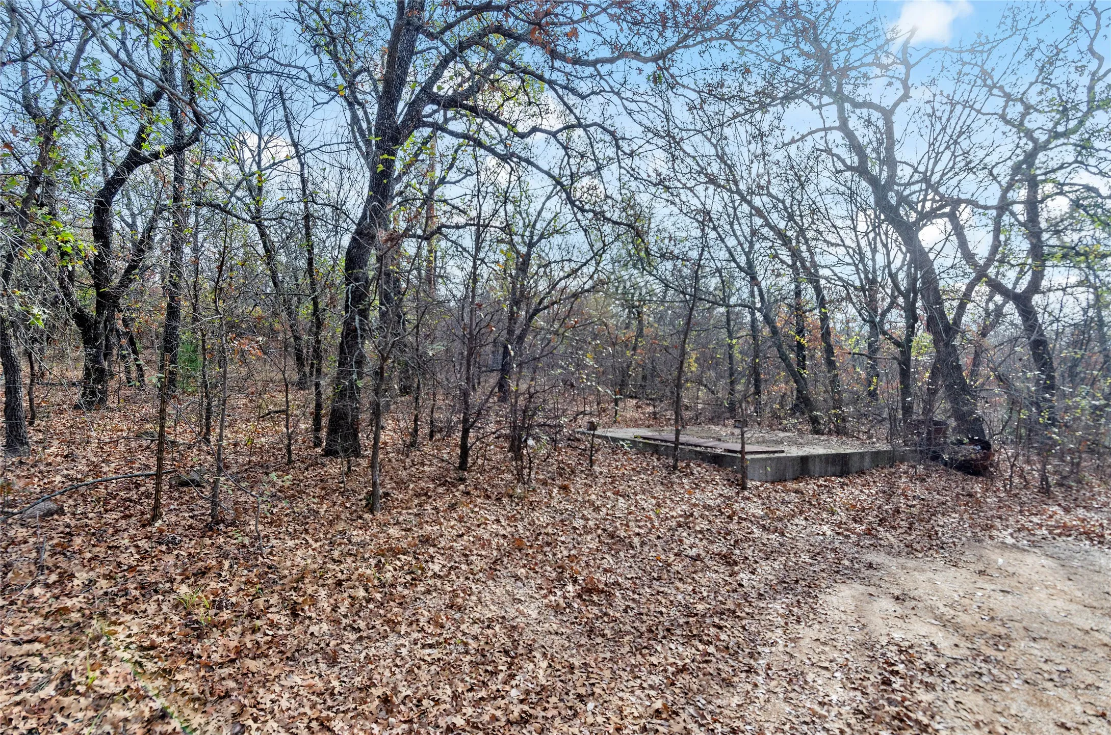 View of nature