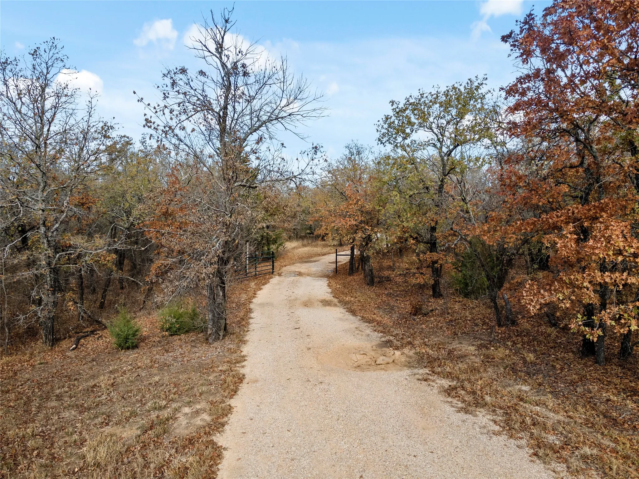 View of road