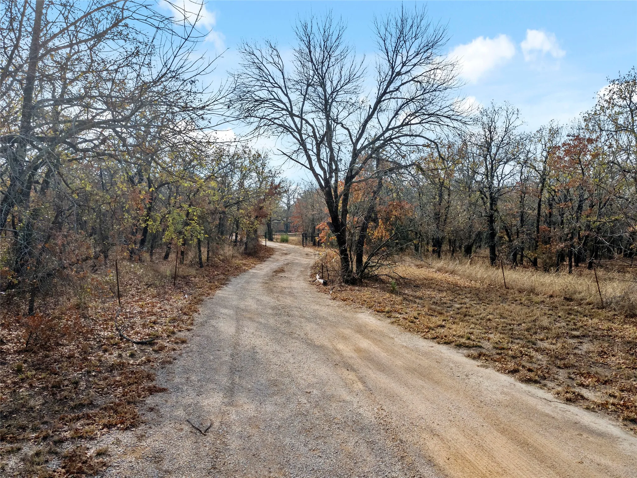 View of dirt / gravel road featuring a forest view