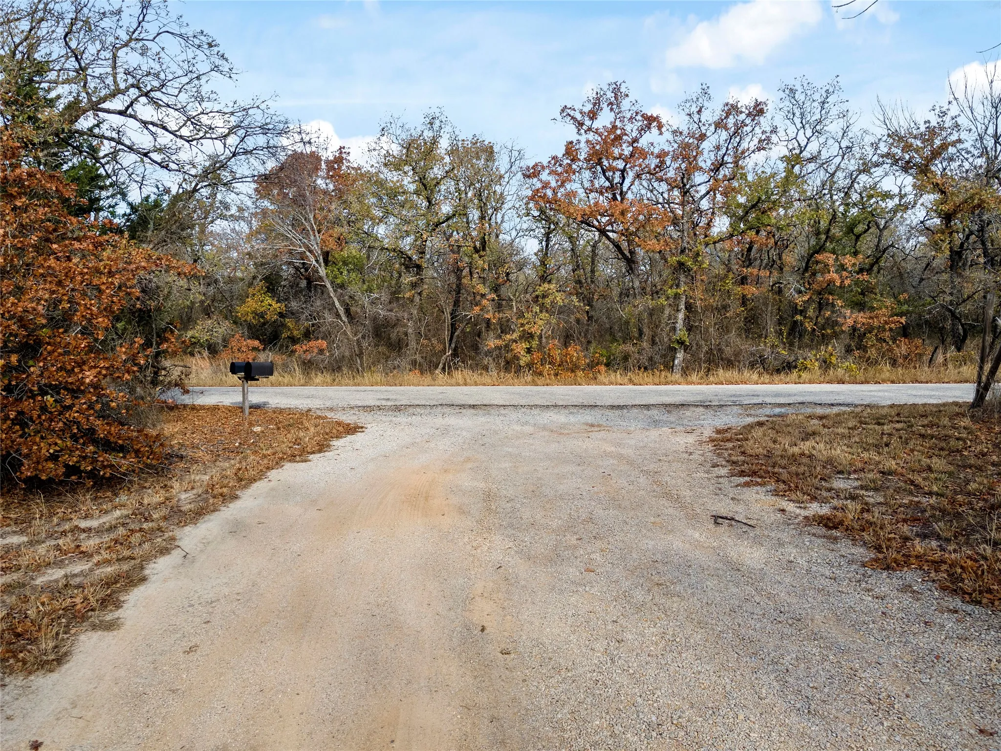 View of dirt / gravel road