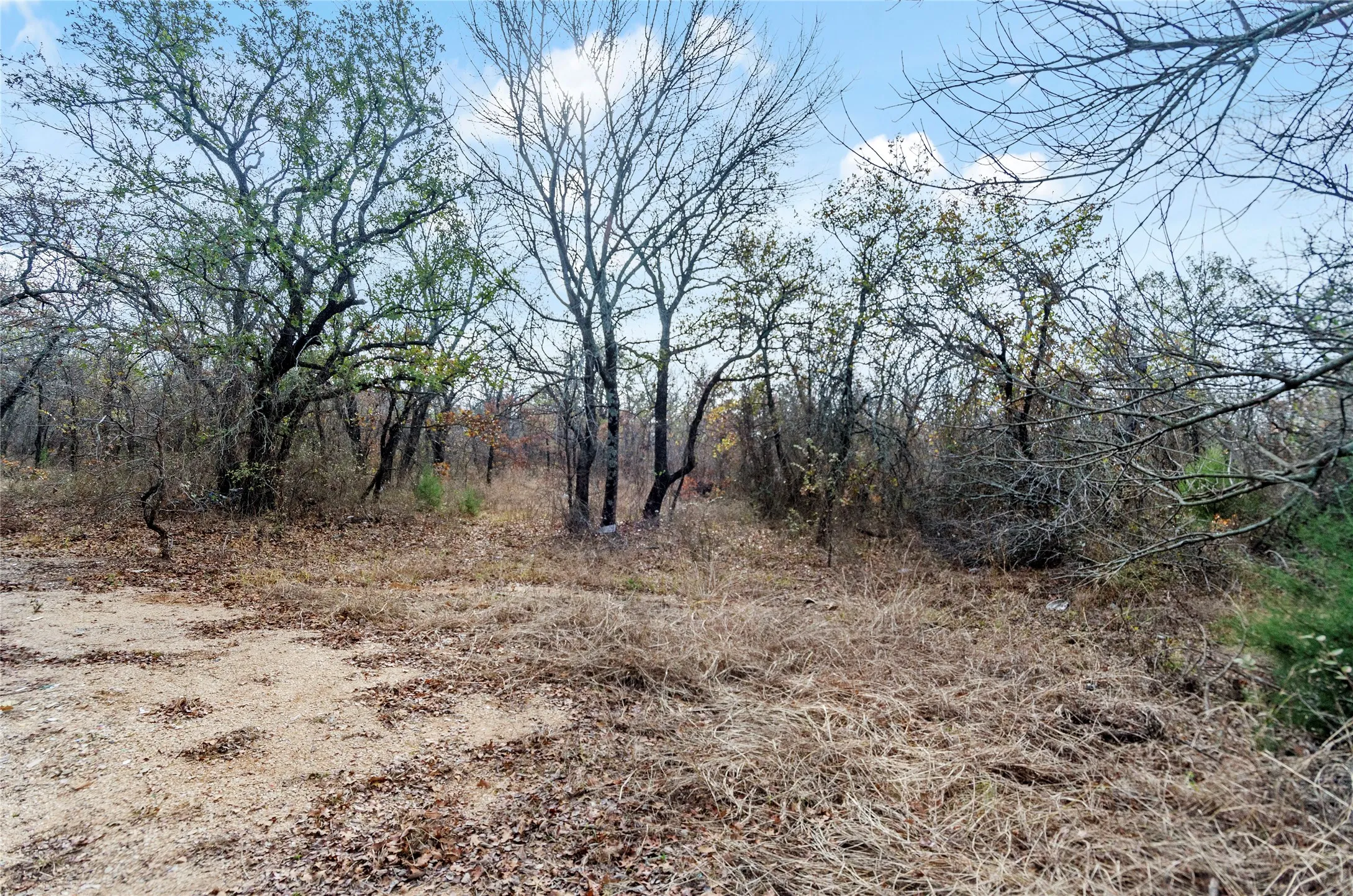 View of nature