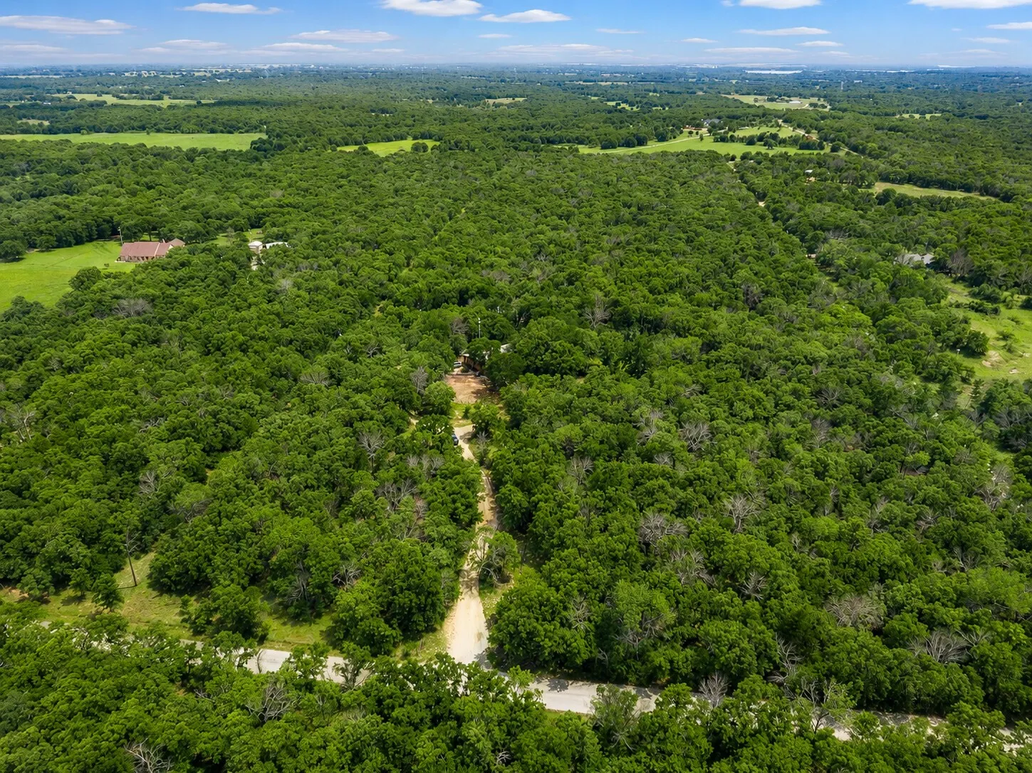 Expansive acreage featuring dense tree coverage and a partially cleared pathway