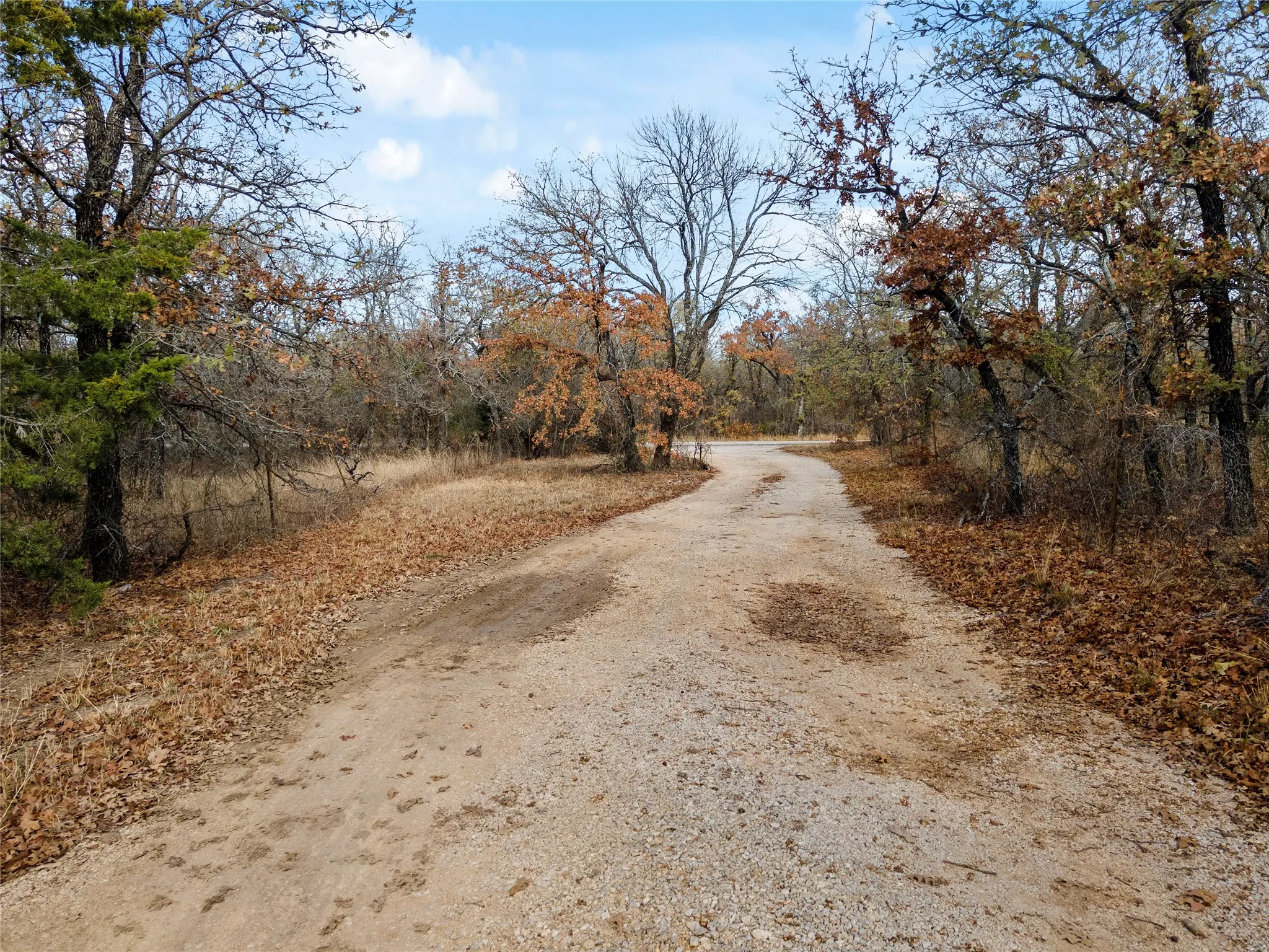 View of road