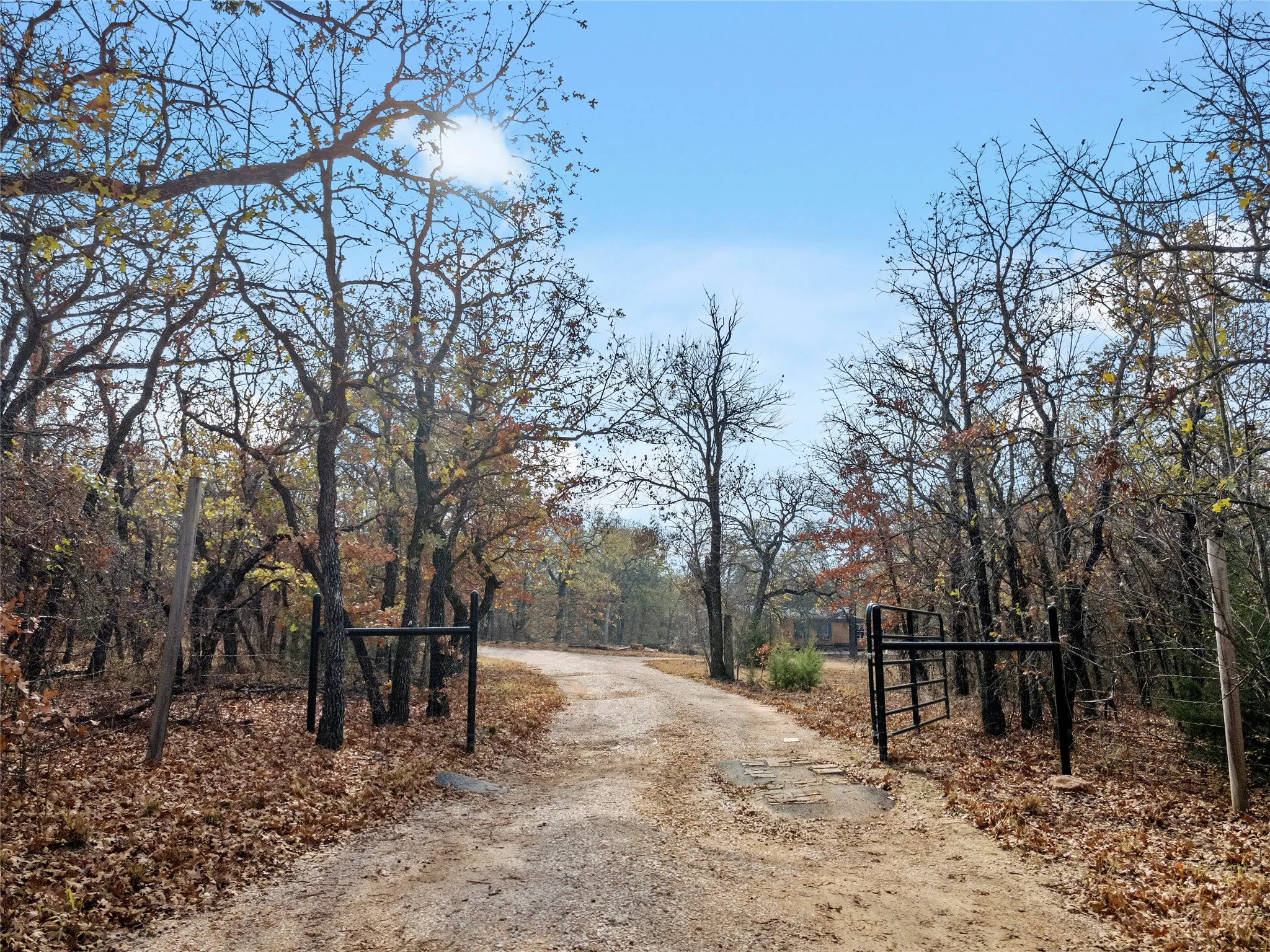 View of dirt / gravel road