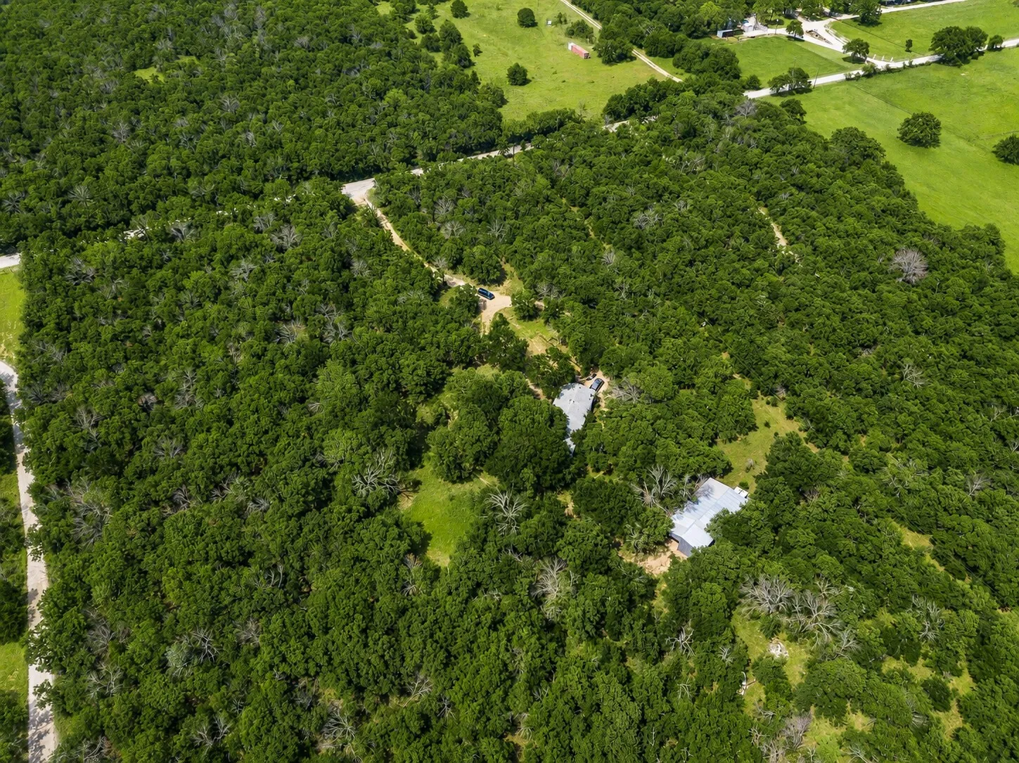 Expansive heavily wooded land featuring two structures with light-colored roofs