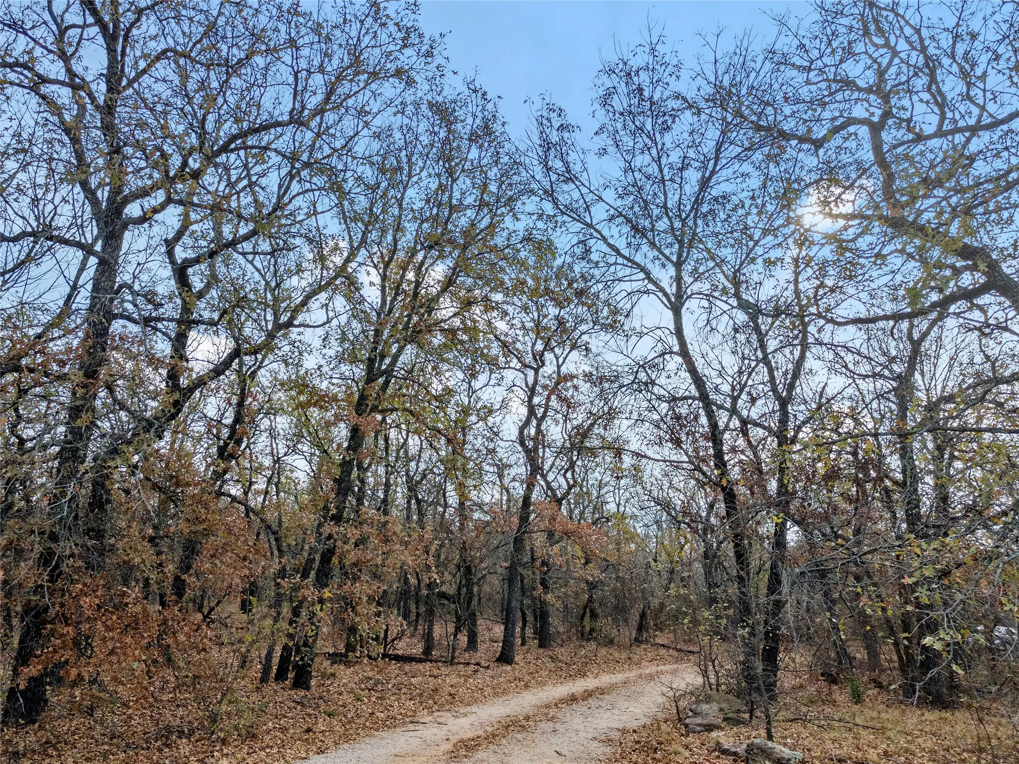View of dirt / gravel road with a forest view