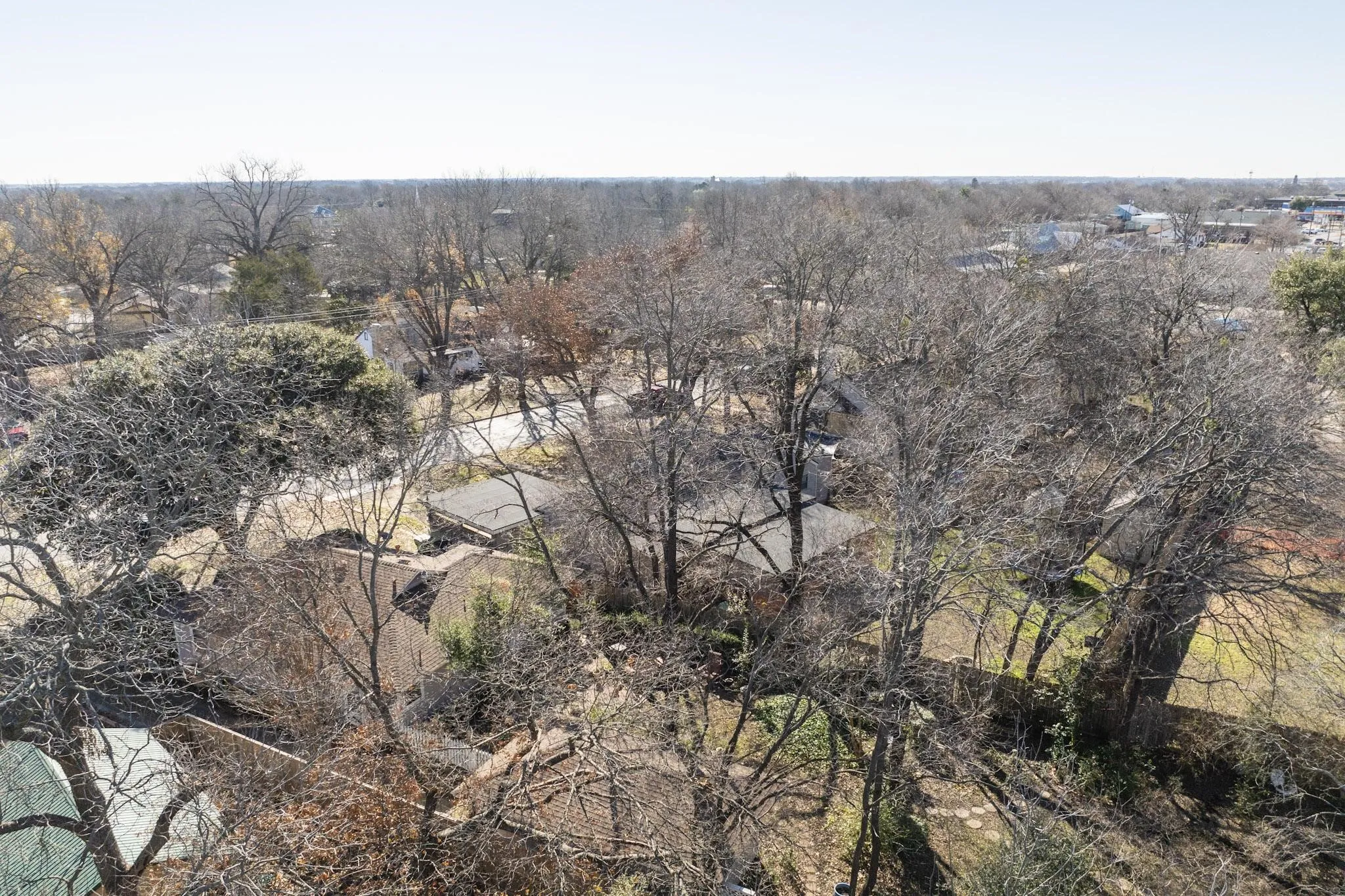 Aerial view of a tree filled landscape