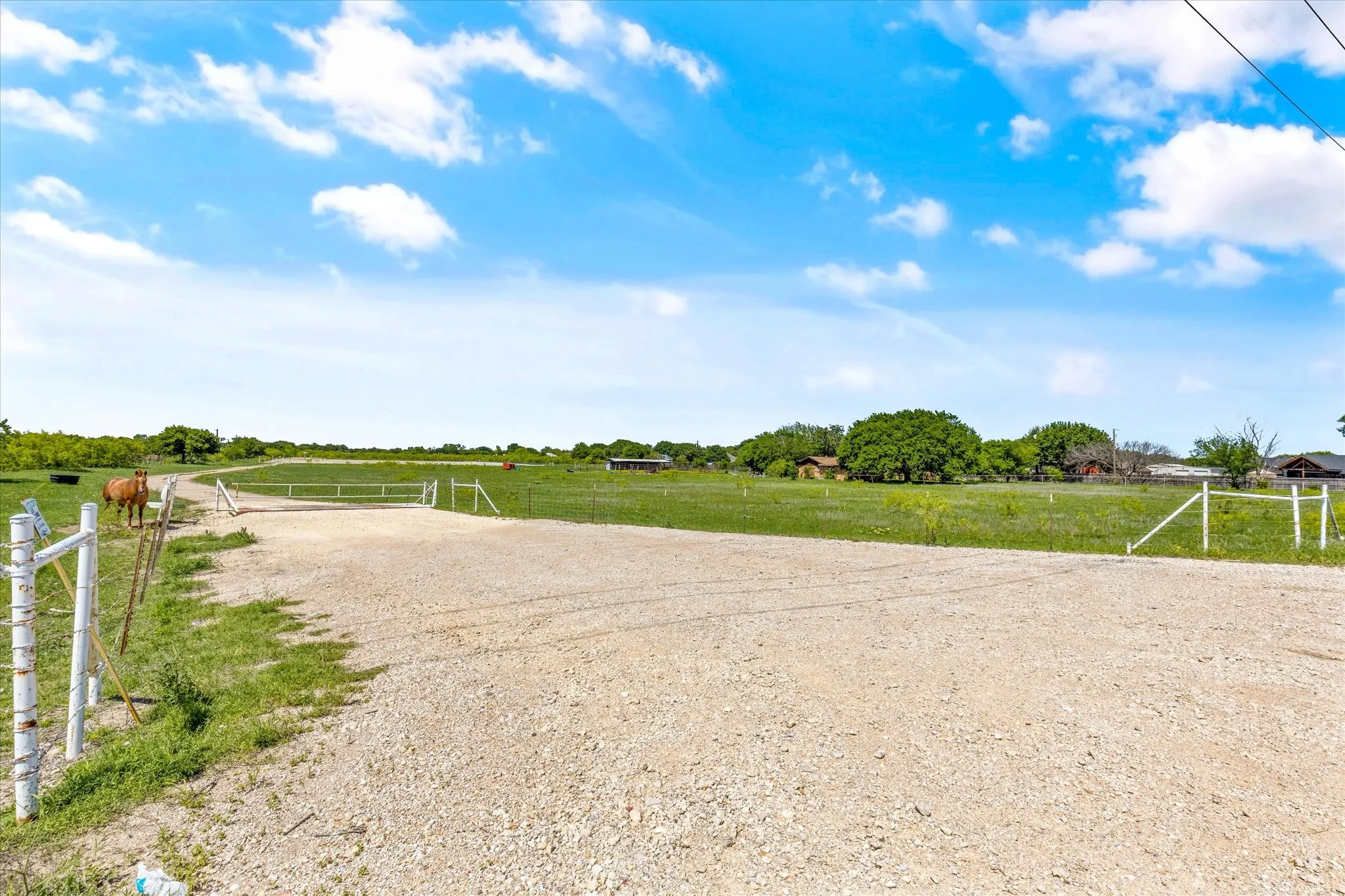 View of yard with a view of rural / pastoral area