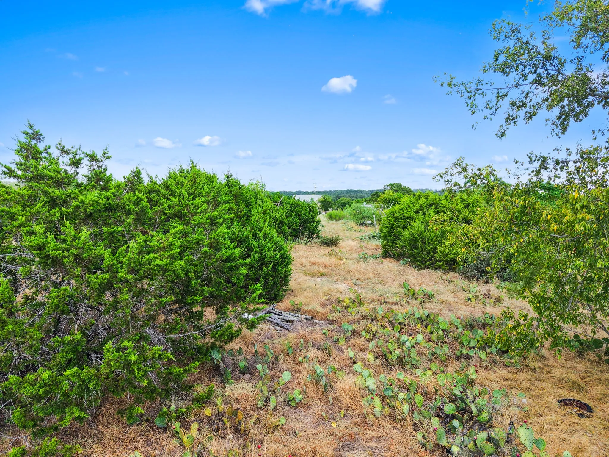 Unimproved Land For Sale in Lampasas County , 0 County Road, Kempner, Texas 76539, 0, 0, Garage spaces, 0 Sqft, built in 0, mls#21118566, Real Estate Agent in Kempner, Homes For Sale in Lampasas county, Homes For Sale in Kempner, Realtor in Kempner Texas, Real Estate Brokerage Independent Realty Texas, Luminita Cordes Realtor