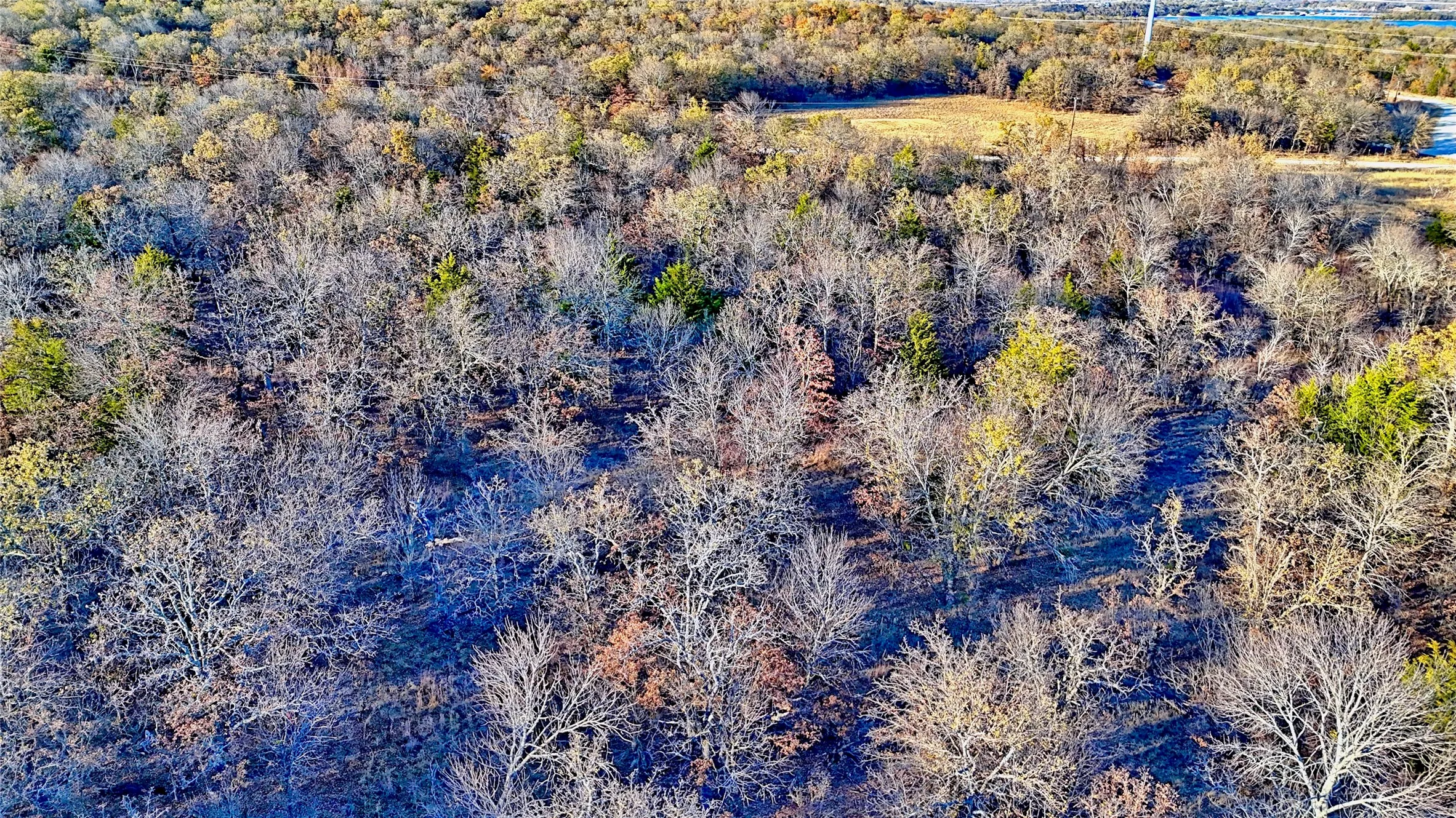Unimproved Land For Sale in Montague County , 1943 Lakeridge, Sunset, Texas 76270, 0, 0, Garage spaces, 0 Sqft, built in 0, mls#21129680, Real Estate Agent in Sunset, Homes For Sale in Montague county, Homes For Sale in Sunset, Realtor in Sunset Texas, Real Estate Brokerage Independent Realty Texas, Luminita Cordes Realtor