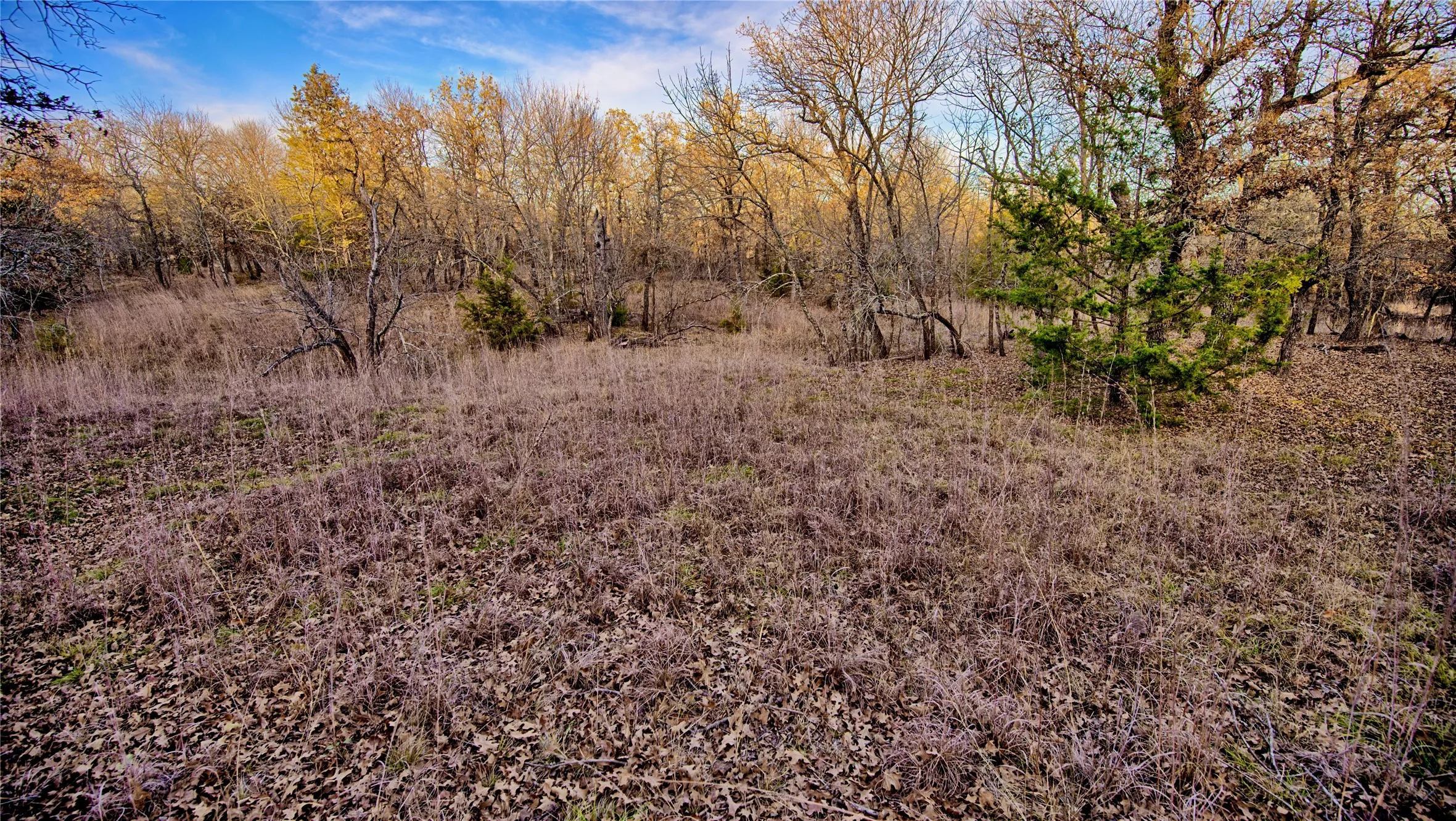 Unimproved Land For Sale in Montague County , 1943 Lakeridge, Sunset, Texas 76270, 0, 0, Garage spaces, 0 Sqft, built in 0, mls#21129680, Real Estate Agent in Sunset, Homes For Sale in Montague county, Homes For Sale in Sunset, Realtor in Sunset Texas, Real Estate Brokerage Independent Realty Texas, Luminita Cordes Realtor