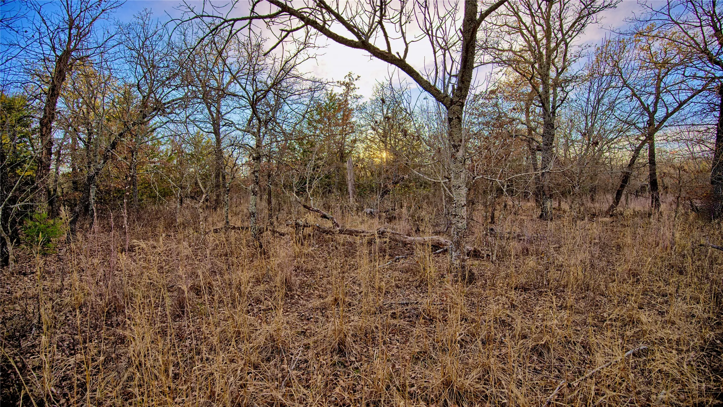 Unimproved Land For Sale in Montague County , 1943 Lakeridge, Sunset, Texas 76270, 0, 0, Garage spaces, 0 Sqft, built in 0, mls#21129680, Real Estate Agent in Sunset, Homes For Sale in Montague county, Homes For Sale in Sunset, Realtor in Sunset Texas, Real Estate Brokerage Independent Realty Texas, Luminita Cordes Realtor