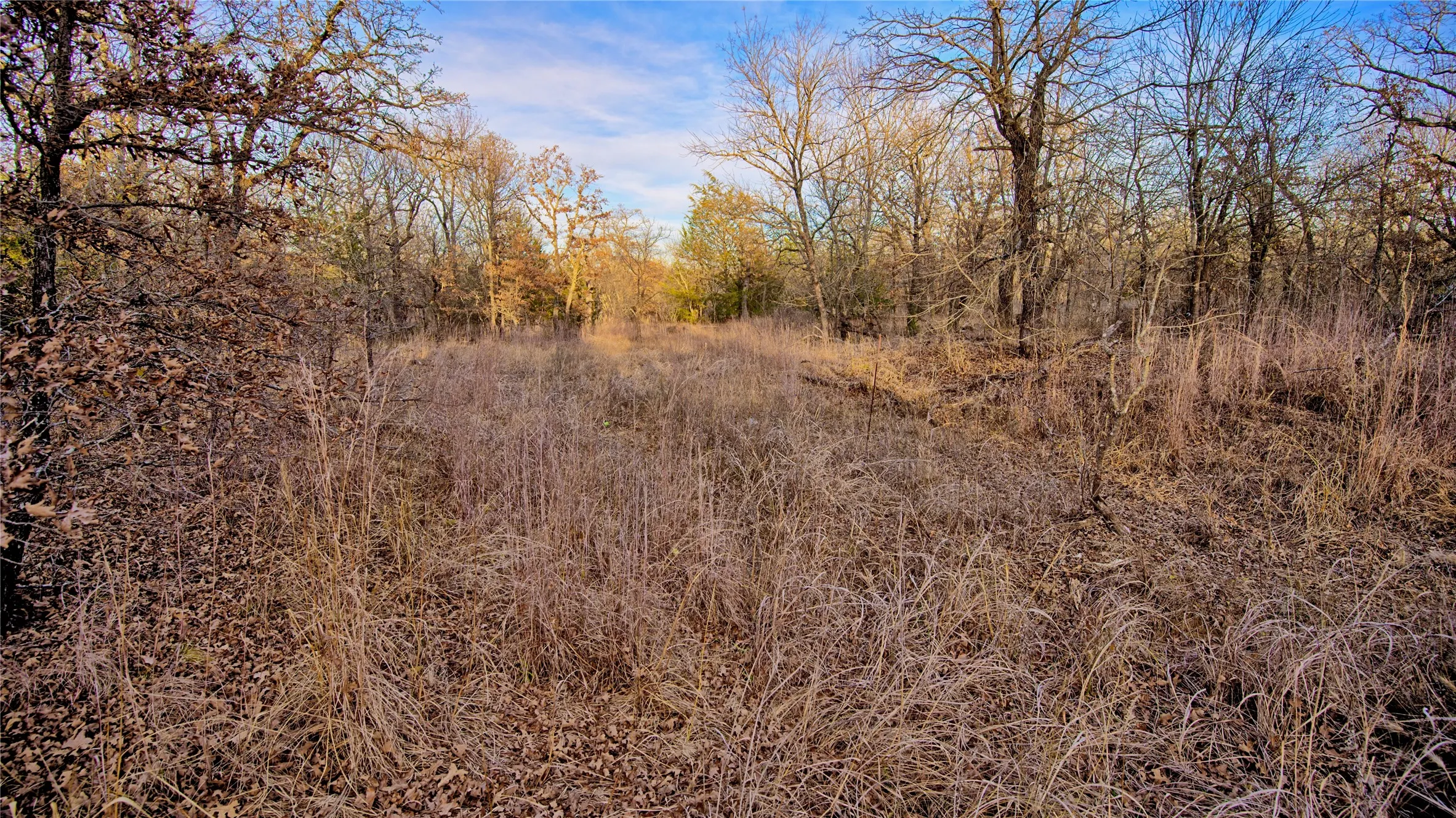 Unimproved Land For Sale in Montague County , 1943 Lakeridge, Sunset, Texas 76270, 0, 0, Garage spaces, 0 Sqft, built in 0, mls#21129680, Real Estate Agent in Sunset, Homes For Sale in Montague county, Homes For Sale in Sunset, Realtor in Sunset Texas, Real Estate Brokerage Independent Realty Texas, Luminita Cordes Realtor