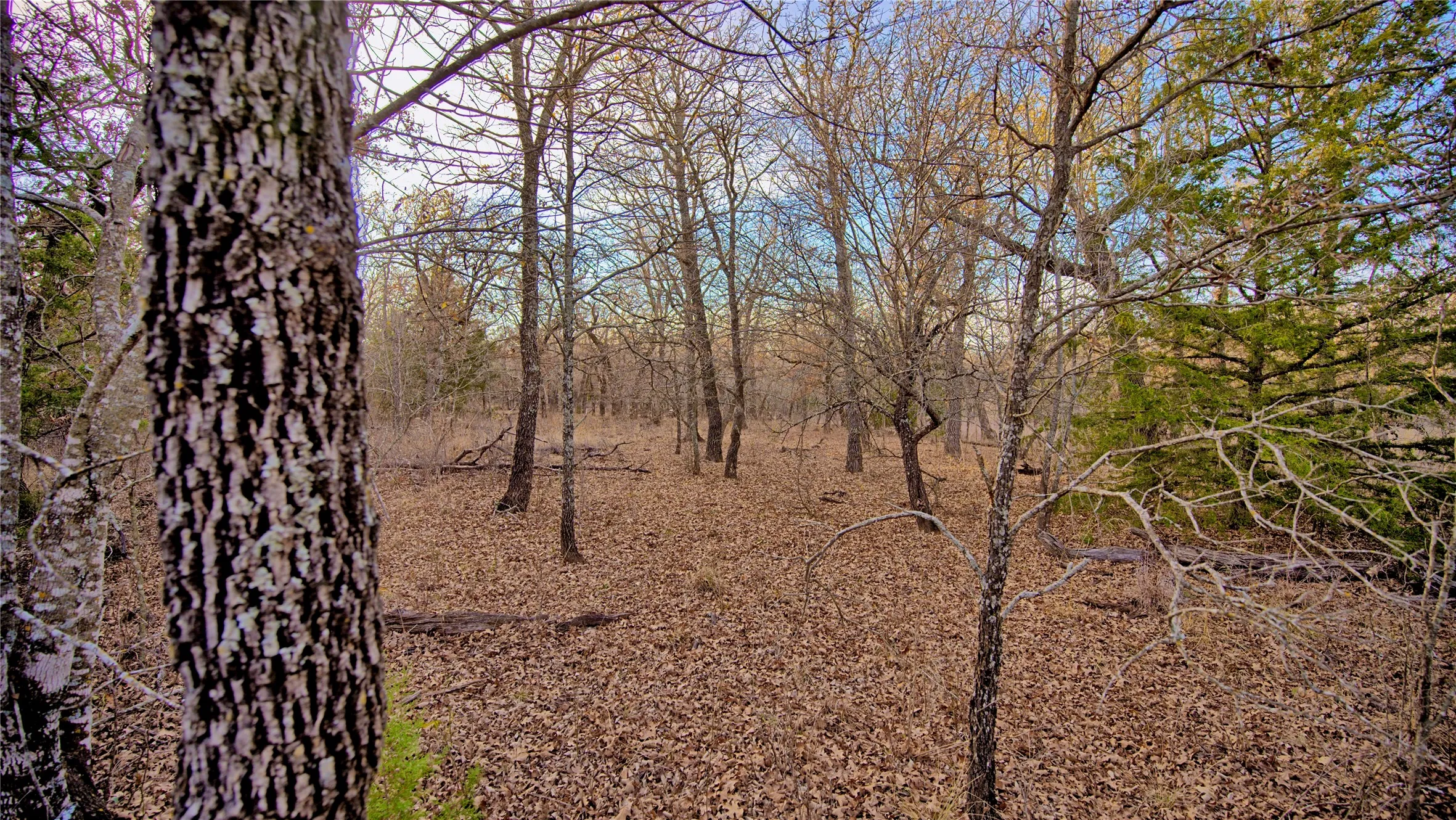 Unimproved Land For Sale in Montague County , 1943 Lakeridge, Sunset, Texas 76270, 0, 0, Garage spaces, 0 Sqft, built in 0, mls#21129680, Real Estate Agent in Sunset, Homes For Sale in Montague county, Homes For Sale in Sunset, Realtor in Sunset Texas, Real Estate Brokerage Independent Realty Texas, Luminita Cordes Realtor
