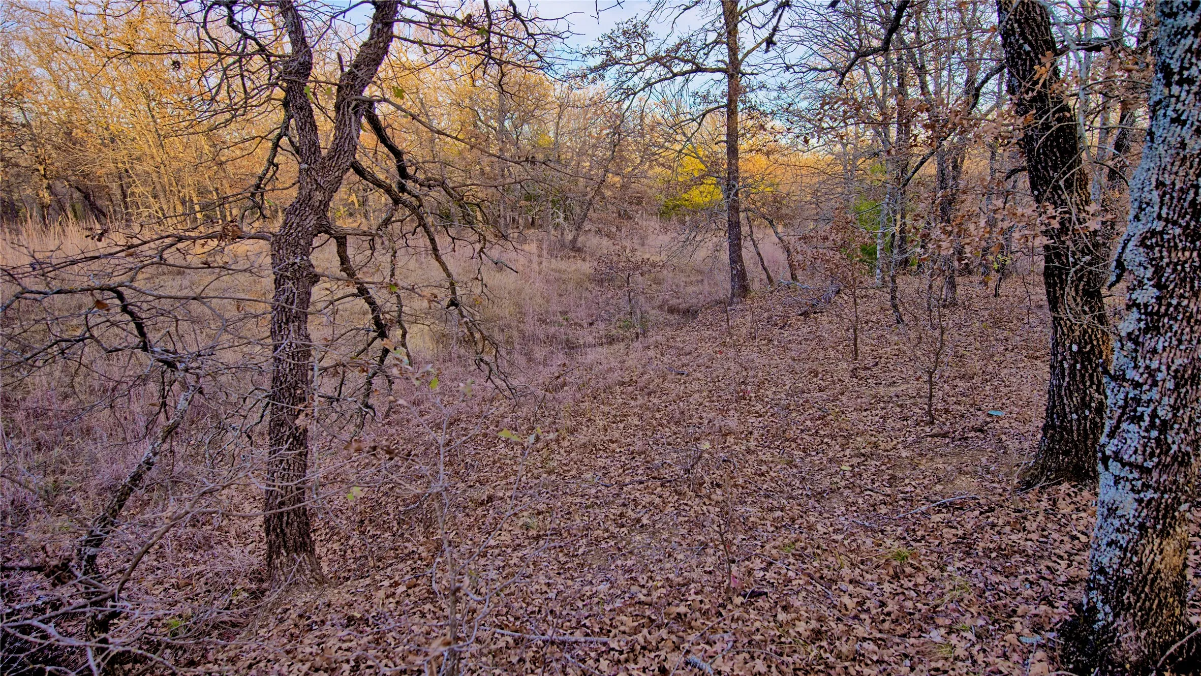 Unimproved Land For Sale in Montague County , 1943 Lakeridge, Sunset, Texas 76270, 0, 0, Garage spaces, 0 Sqft, built in 0, mls#21129680, Real Estate Agent in Sunset, Homes For Sale in Montague county, Homes For Sale in Sunset, Realtor in Sunset Texas, Real Estate Brokerage Independent Realty Texas, Luminita Cordes Realtor