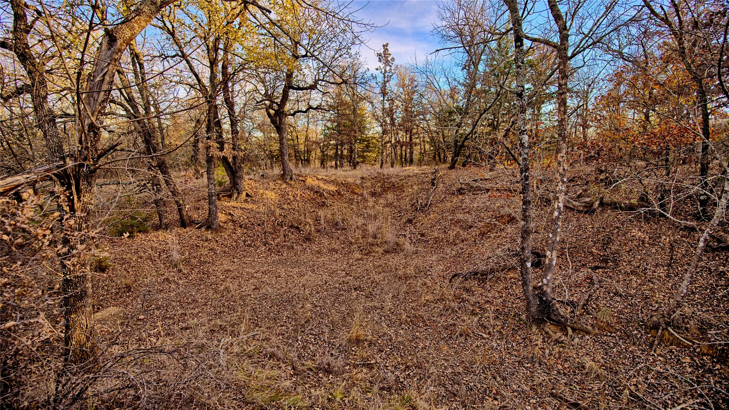 Unimproved Land For Sale in Montague County , 1943 Lakeridge, Sunset, Texas 76270, 0, 0, Garage spaces, 0 Sqft, built in 0, mls#21129680, Real Estate Agent in Sunset, Homes For Sale in Montague county, Homes For Sale in Sunset, Realtor in Sunset Texas, Real Estate Brokerage Independent Realty Texas, Luminita Cordes Realtor