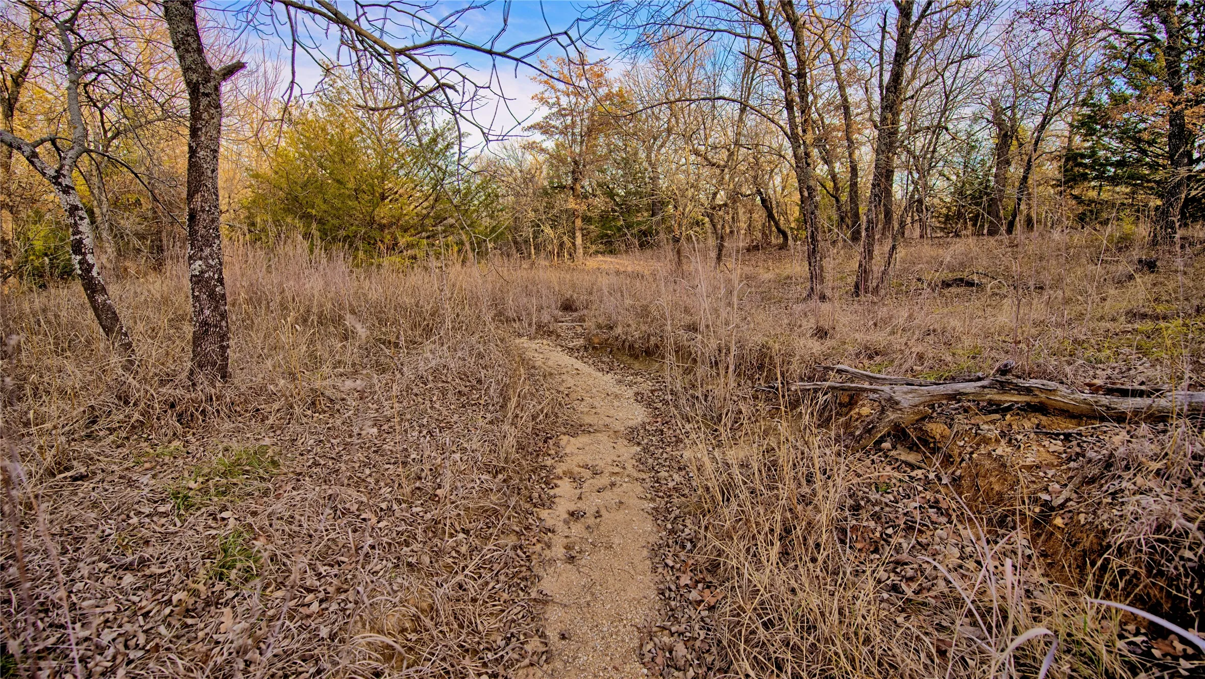 Unimproved Land For Sale in Montague County , 1943 Lakeridge, Sunset, Texas 76270, 0, 0, Garage spaces, 0 Sqft, built in 0, mls#21129680, Real Estate Agent in Sunset, Homes For Sale in Montague county, Homes For Sale in Sunset, Realtor in Sunset Texas, Real Estate Brokerage Independent Realty Texas, Luminita Cordes Realtor