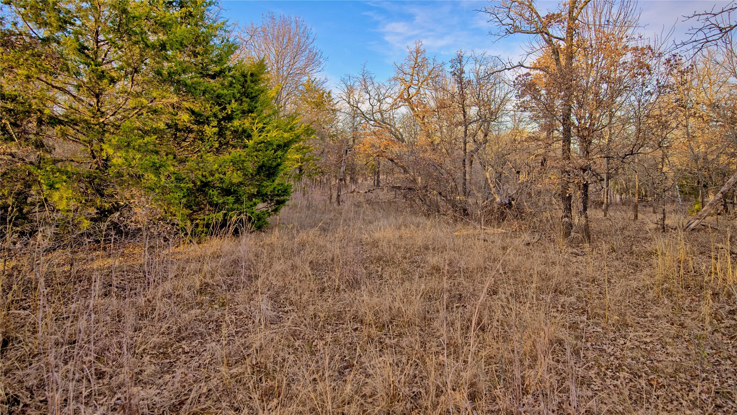 Unimproved Land For Sale in Montague County , 1943 Lakeridge, Sunset, Texas 76270, 0, 0, Garage spaces, 0 Sqft, built in 0, mls#21129680, Real Estate Agent in Sunset, Homes For Sale in Montague county, Homes For Sale in Sunset, Realtor in Sunset Texas, Real Estate Brokerage Independent Realty Texas, Luminita Cordes Realtor