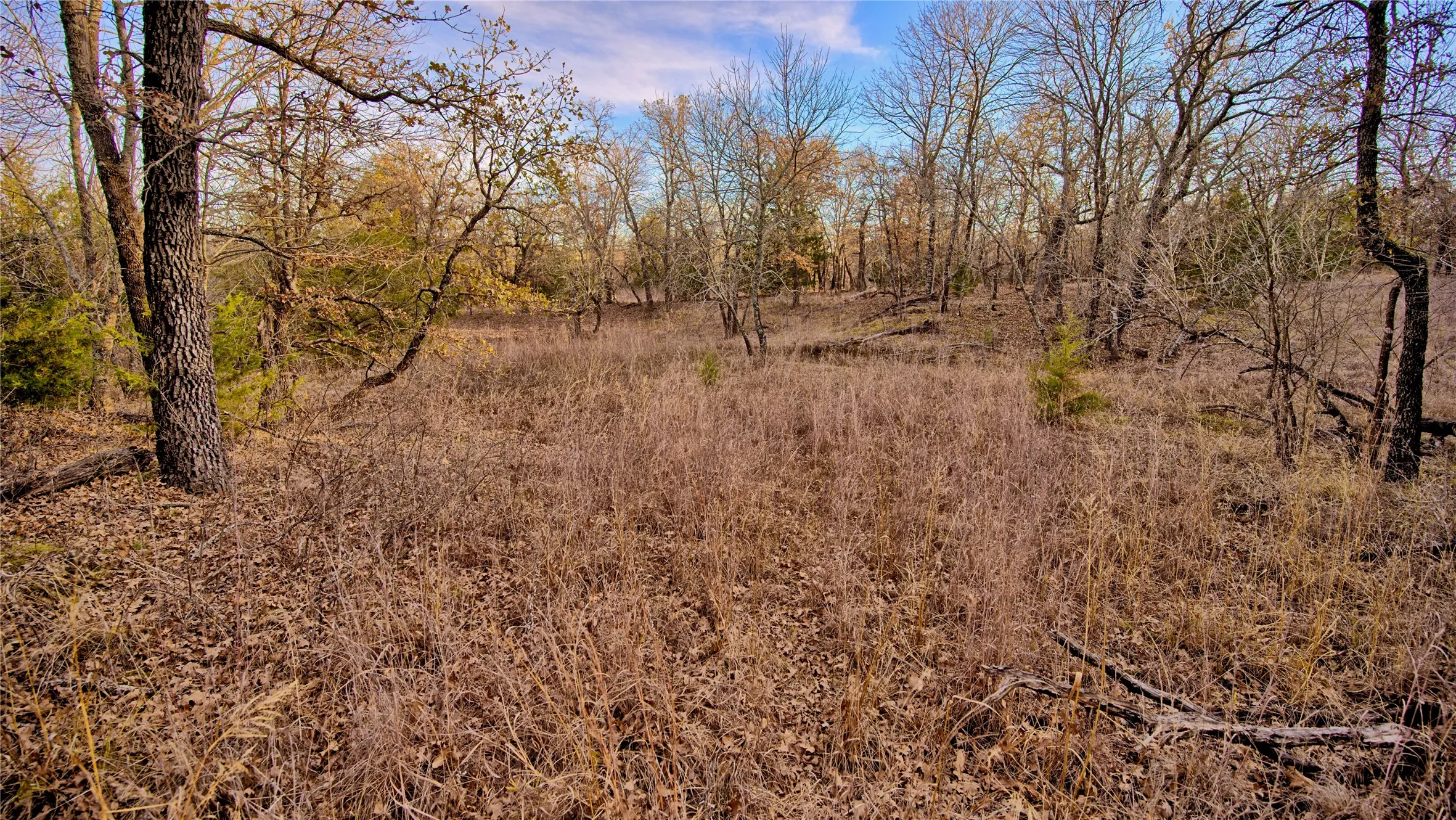 Unimproved Land For Sale in Montague County , 1943 Lakeridge, Sunset, Texas 76270, 0, 0, Garage spaces, 0 Sqft, built in 0, mls#21129680, Real Estate Agent in Sunset, Homes For Sale in Montague county, Homes For Sale in Sunset, Realtor in Sunset Texas, Real Estate Brokerage Independent Realty Texas, Luminita Cordes Realtor