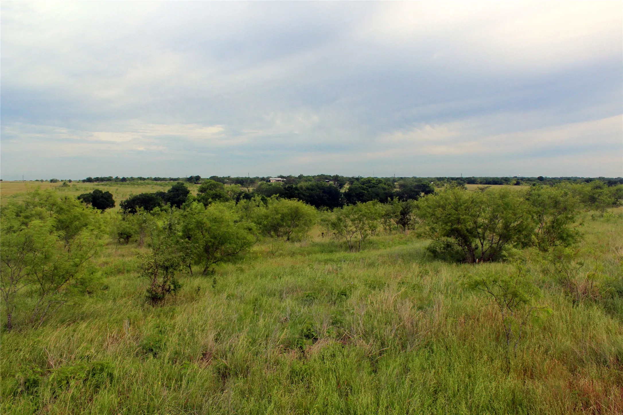 Ranch For Sale in Navarro County , 21481 SW County Road 4040, Dawson, Texas 76639, 0, 0, Garage spaces, 0 Sqft, built in 2002, mls#21128493, Real Estate Agent in Dawson, Homes For Sale in Navarro county, Homes For Sale in Dawson, Realtor in Dawson Texas, Real Estate Brokerage Independent Realty Texas, Luminita Cordes Realtor