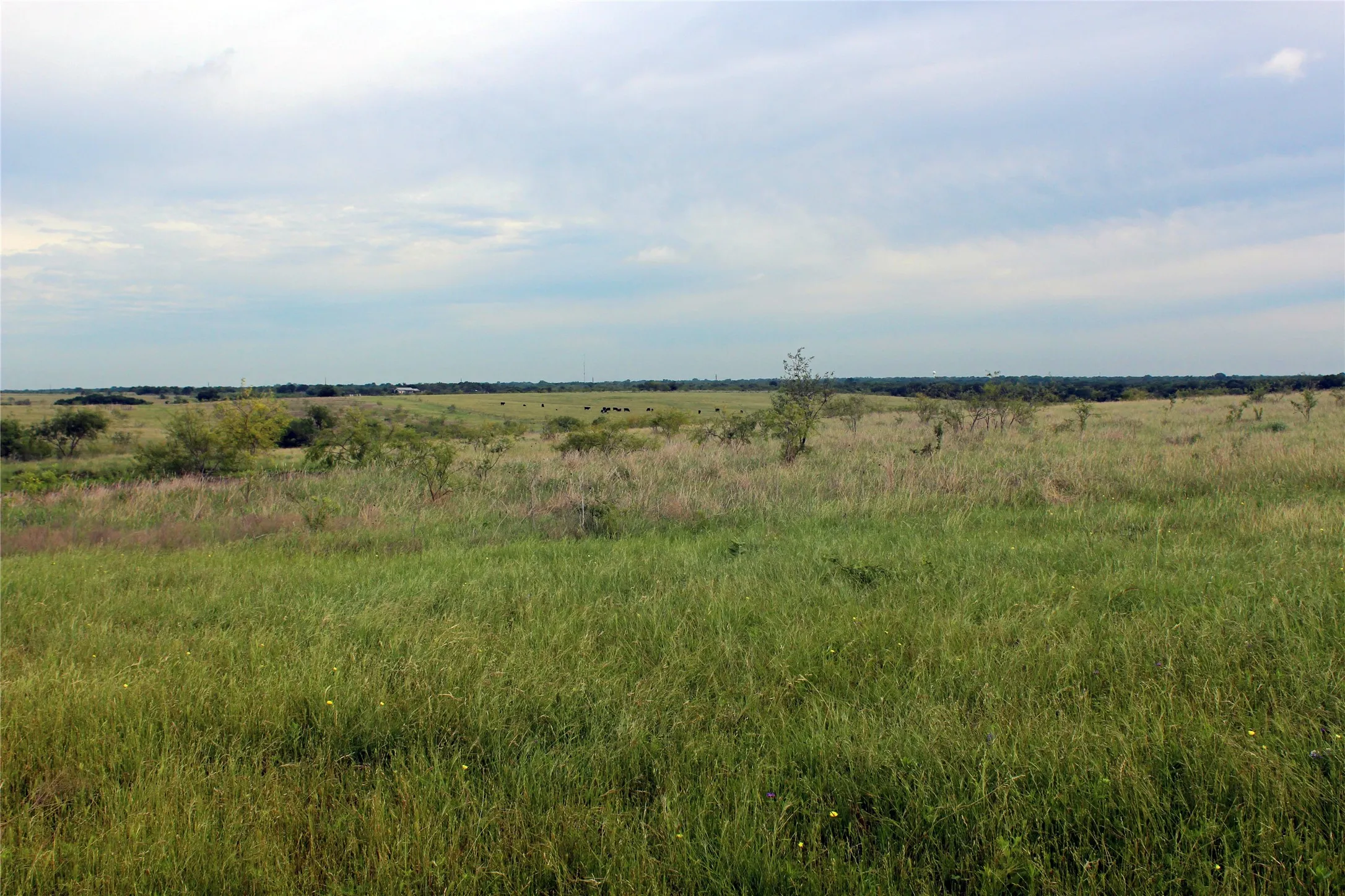 Ranch For Sale in Navarro County , 21481 SW County Road 4040, Dawson, Texas 76639, 0, 0, Garage spaces, 0 Sqft, built in 2002, mls#21128493, Real Estate Agent in Dawson, Homes For Sale in Navarro county, Homes For Sale in Dawson, Realtor in Dawson Texas, Real Estate Brokerage Independent Realty Texas, Luminita Cordes Realtor