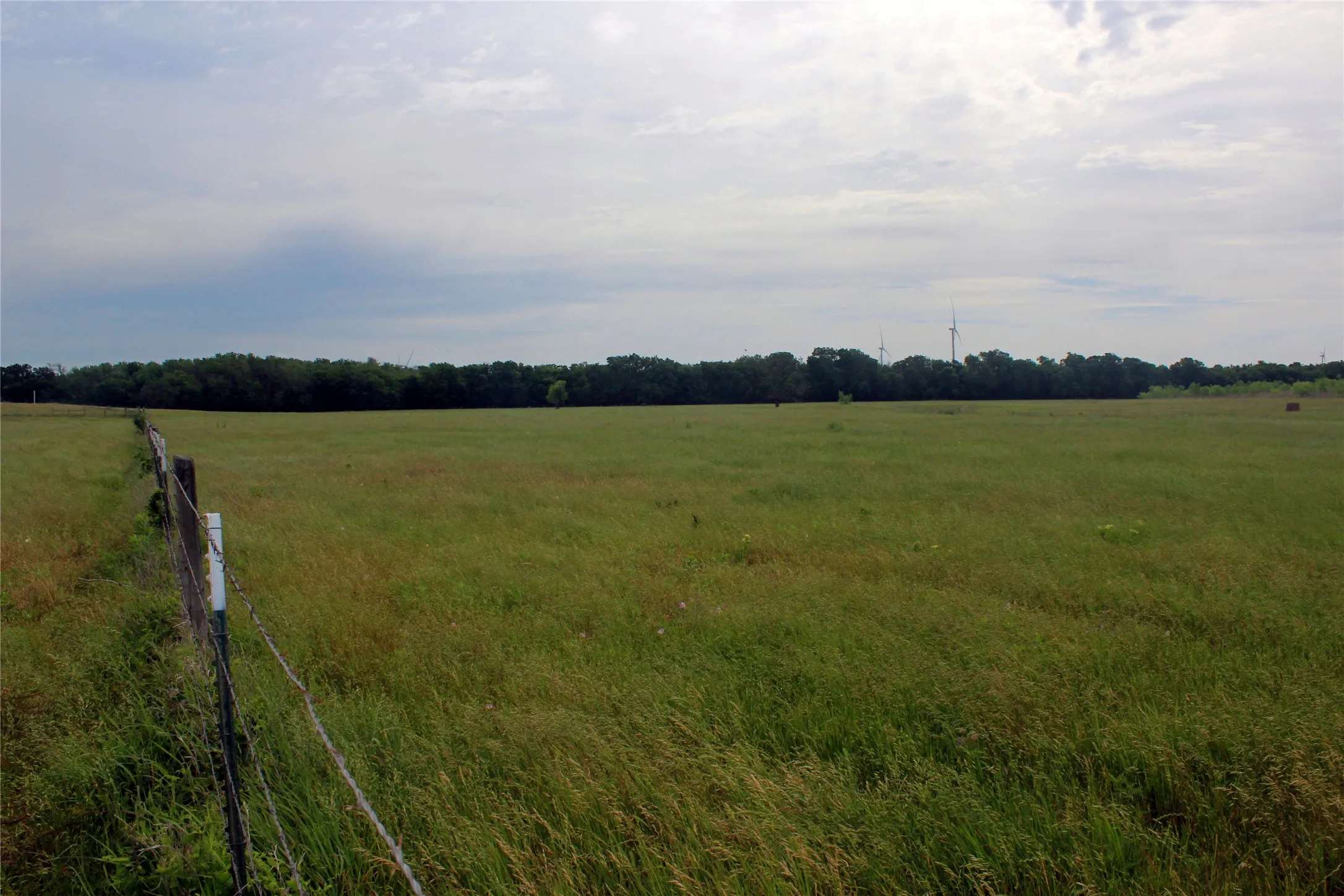 Ranch For Sale in Navarro County , 21481 SW County Road 4040, Dawson, Texas 76639, 0, 0, Garage spaces, 0 Sqft, built in 2002, mls#21128493, Real Estate Agent in Dawson, Homes For Sale in Navarro county, Homes For Sale in Dawson, Realtor in Dawson Texas, Real Estate Brokerage Independent Realty Texas, Luminita Cordes Realtor