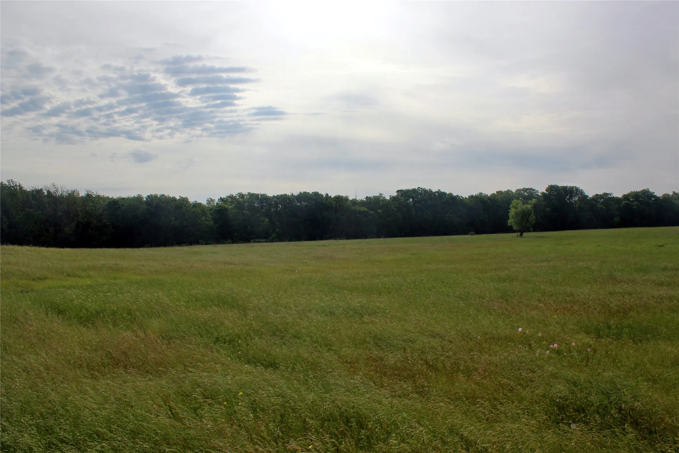 Ranch For Sale in Navarro County , 21481 SW County Road 4040, Dawson, Texas 76639, 0, 0, Garage spaces, 0 Sqft, built in 2002, mls#21128493, Real Estate Agent in Dawson, Homes For Sale in Navarro county, Homes For Sale in Dawson, Realtor in Dawson Texas, Real Estate Brokerage Independent Realty Texas, Luminita Cordes Realtor