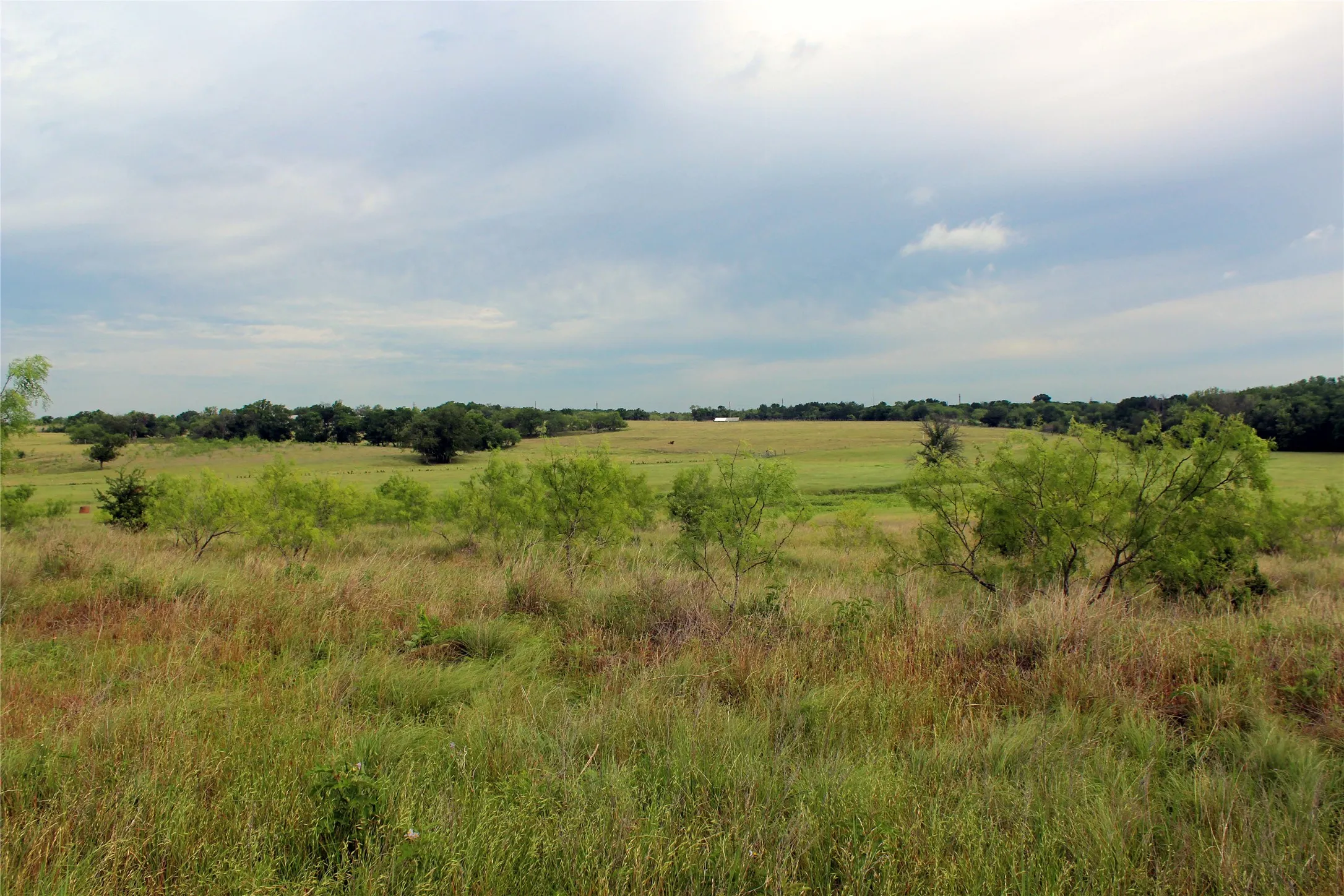 Ranch For Sale in Navarro County , 21481 SW County Road 4040, Dawson, Texas 76639, 0, 0, Garage spaces, 0 Sqft, built in 2002, mls#21128493, Real Estate Agent in Dawson, Homes For Sale in Navarro county, Homes For Sale in Dawson, Realtor in Dawson Texas, Real Estate Brokerage Independent Realty Texas, Luminita Cordes Realtor