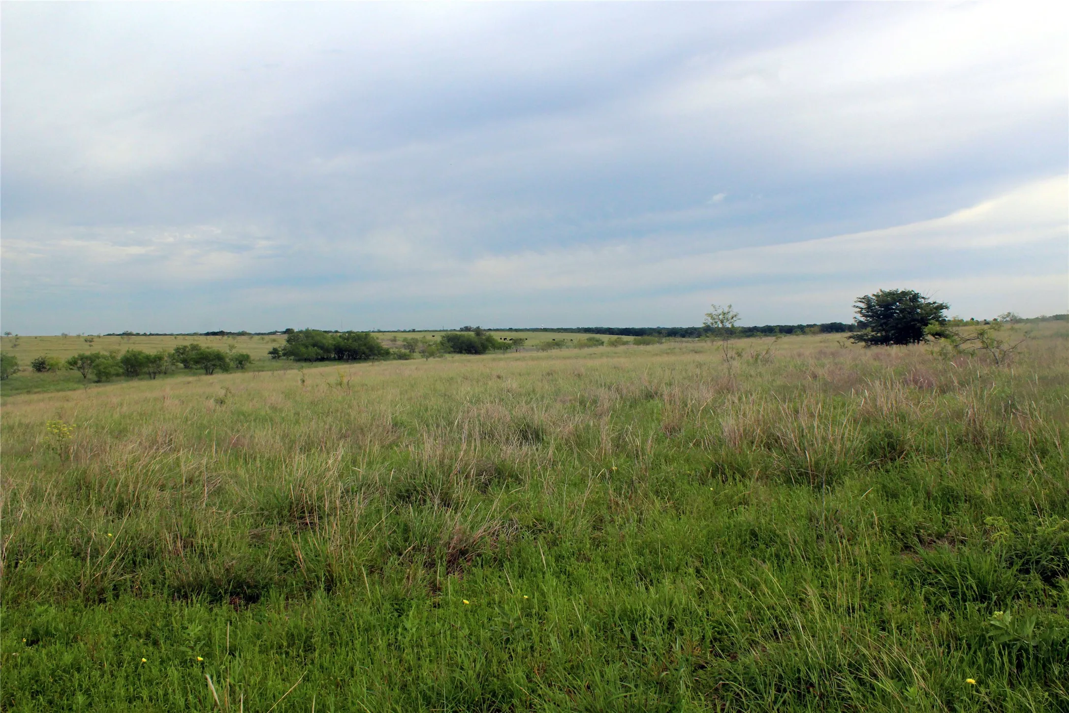 Ranch For Sale in Navarro County , 21481 SW County Road 4040, Dawson, Texas 76639, 0, 0, Garage spaces, 0 Sqft, built in 2002, mls#21128493, Real Estate Agent in Dawson, Homes For Sale in Navarro county, Homes For Sale in Dawson, Realtor in Dawson Texas, Real Estate Brokerage Independent Realty Texas, Luminita Cordes Realtor