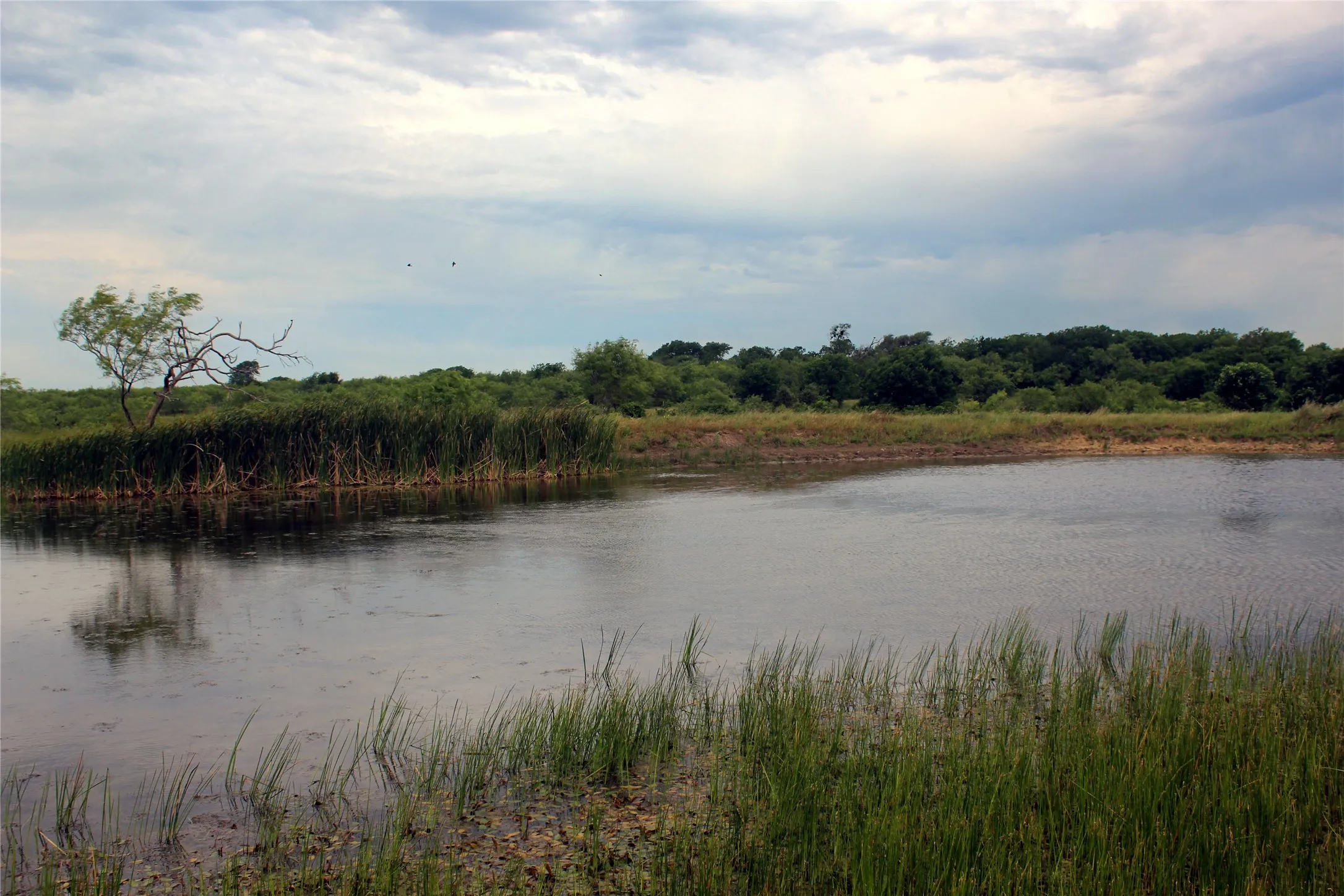 Ranch For Sale in Navarro County , 21481 SW County Road 4040, Dawson, Texas 76639, 0, 0, Garage spaces, 0 Sqft, built in 2002, mls#21128493, Real Estate Agent in Dawson, Homes For Sale in Navarro county, Homes For Sale in Dawson, Realtor in Dawson Texas, Real Estate Brokerage Independent Realty Texas, Luminita Cordes Realtor
