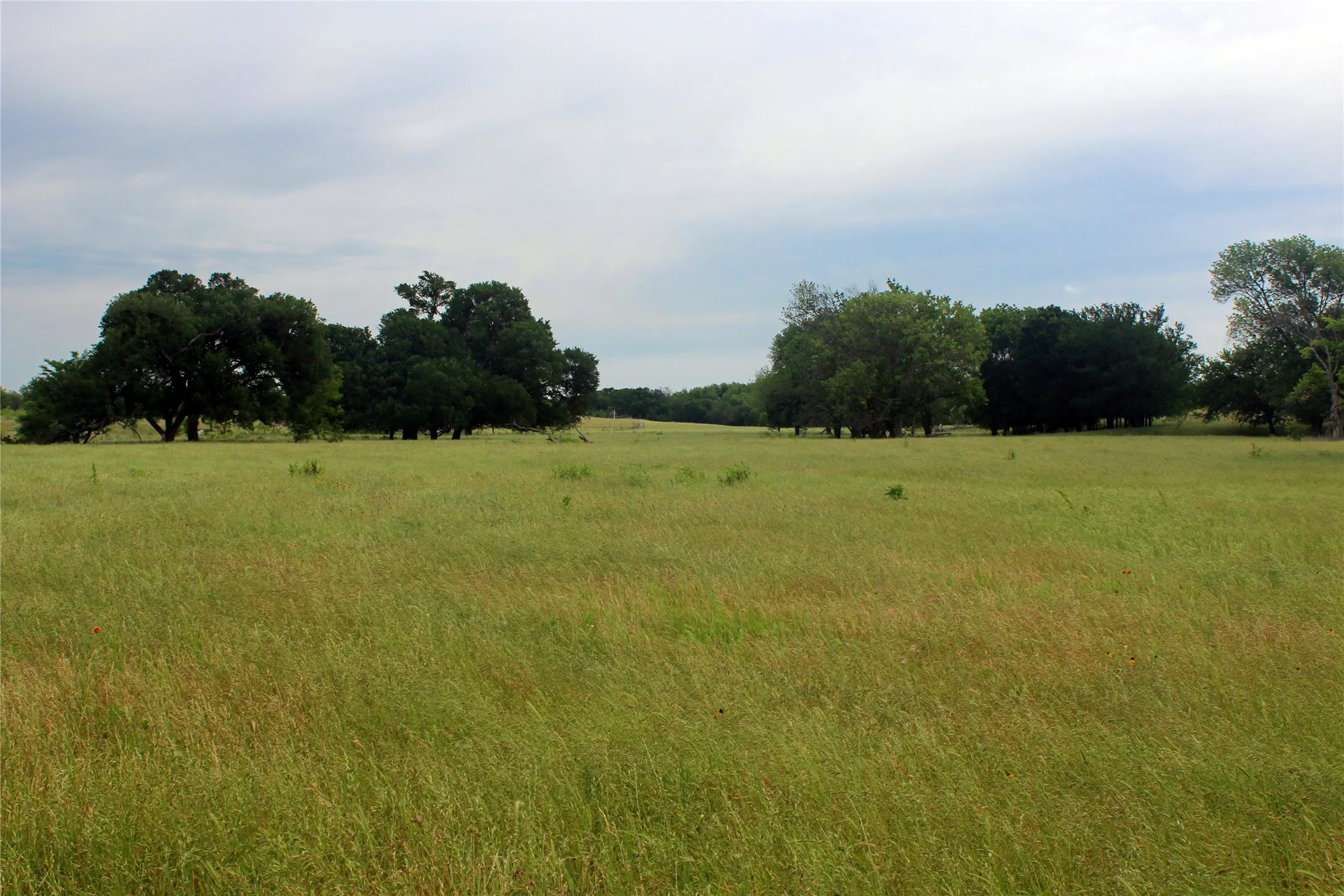 Ranch For Sale in Navarro County , 21481 SW County Road 4040, Dawson, Texas 76639, 0, 0, Garage spaces, 0 Sqft, built in 2002, mls#21128493, Real Estate Agent in Dawson, Homes For Sale in Navarro county, Homes For Sale in Dawson, Realtor in Dawson Texas, Real Estate Brokerage Independent Realty Texas, Luminita Cordes Realtor