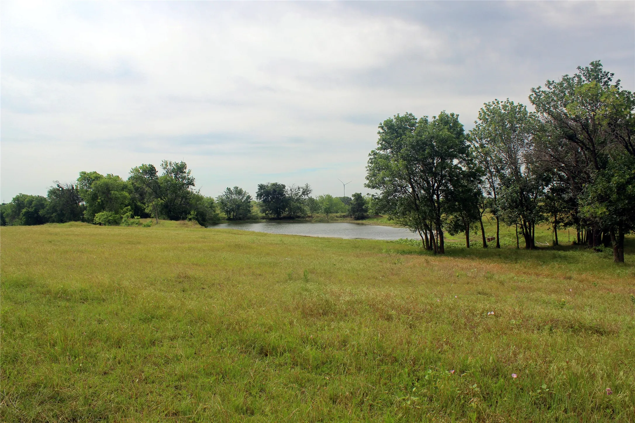 Ranch For Sale in Navarro County , 21481 SW County Road 4040, Dawson, Texas 76639, 0, 0, Garage spaces, 0 Sqft, built in 2002, mls#21128493, Real Estate Agent in Dawson, Homes For Sale in Navarro county, Homes For Sale in Dawson, Realtor in Dawson Texas, Real Estate Brokerage Independent Realty Texas, Luminita Cordes Realtor