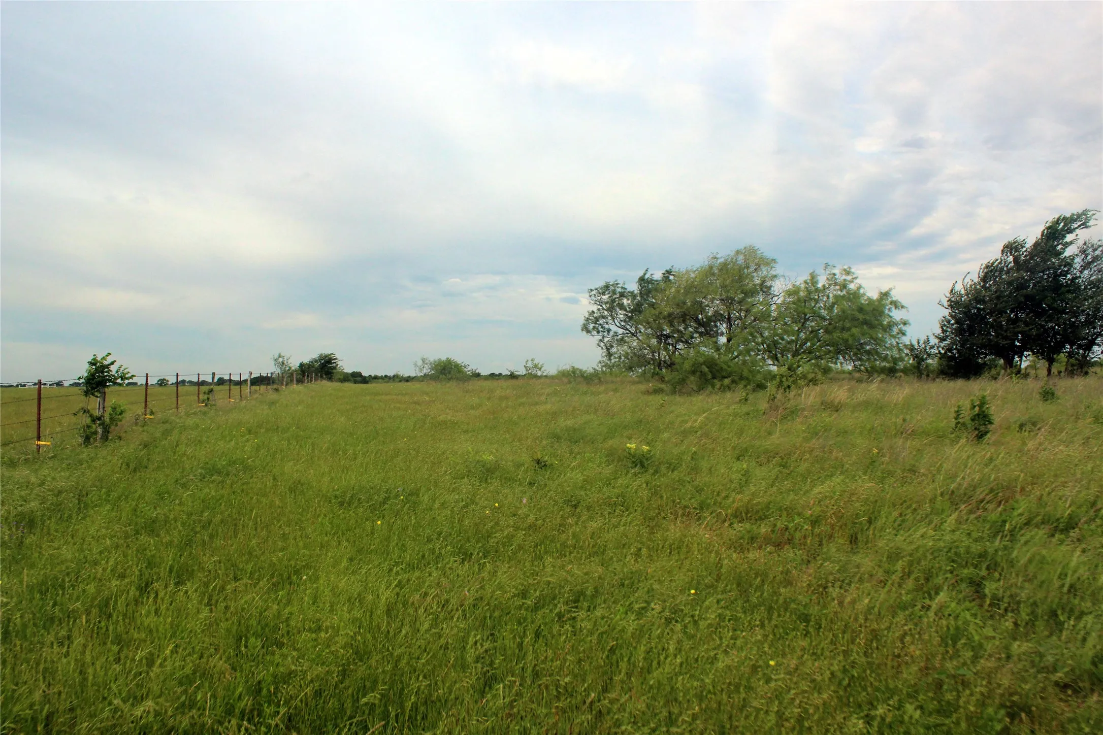 Ranch For Sale in Navarro County , 21481 SW County Road 4040, Dawson, Texas 76639, 0, 0, Garage spaces, 0 Sqft, built in 2002, mls#21128493, Real Estate Agent in Dawson, Homes For Sale in Navarro county, Homes For Sale in Dawson, Realtor in Dawson Texas, Real Estate Brokerage Independent Realty Texas, Luminita Cordes Realtor